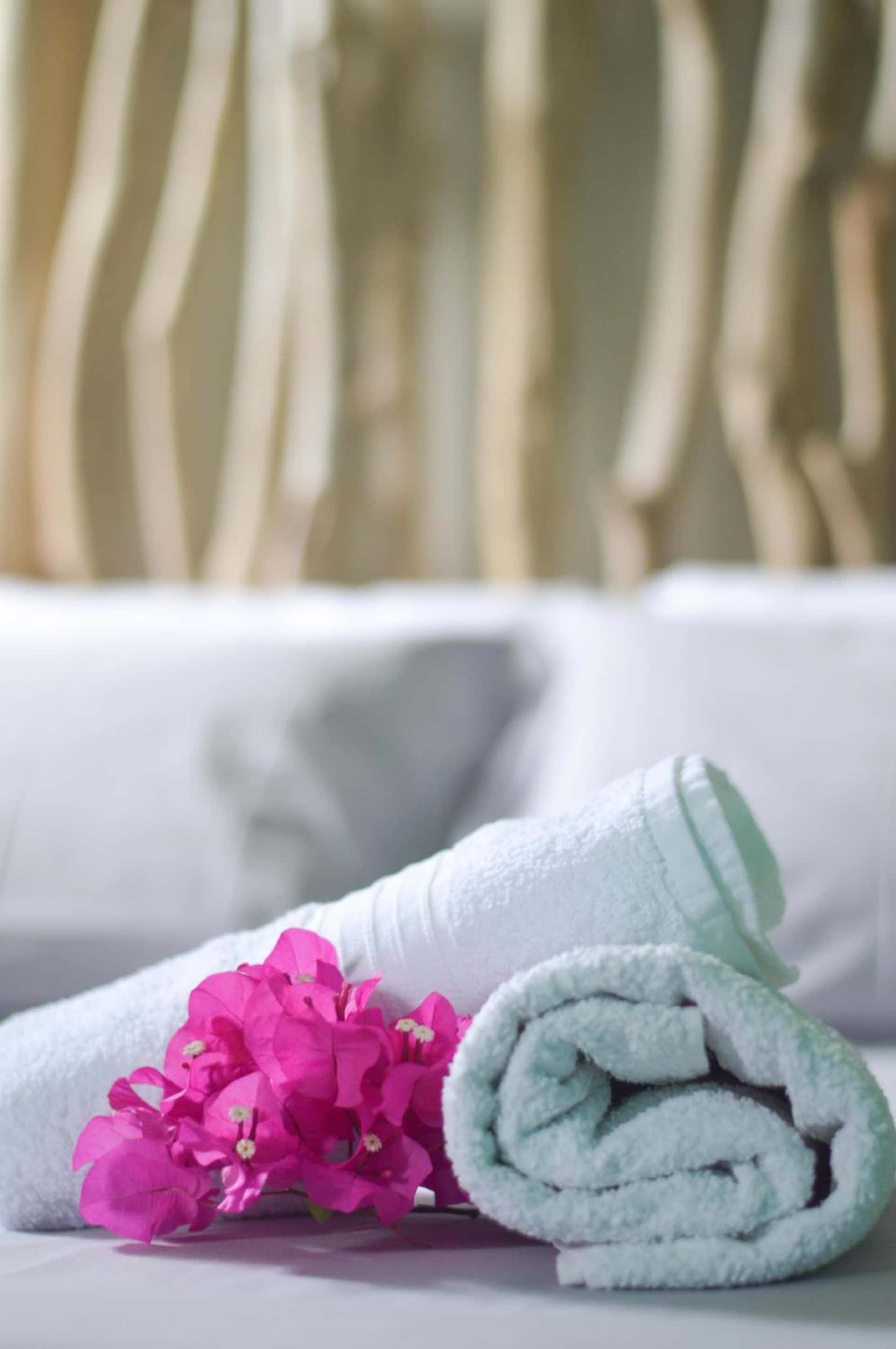 Tante Arlette - hotel in 3 Rue De Lucy De Fossarieu, Grandʼ Rivière