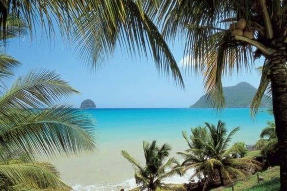 Le Paradis de l'Anse - hotel in Anse Figuier, Riviere-Pilote