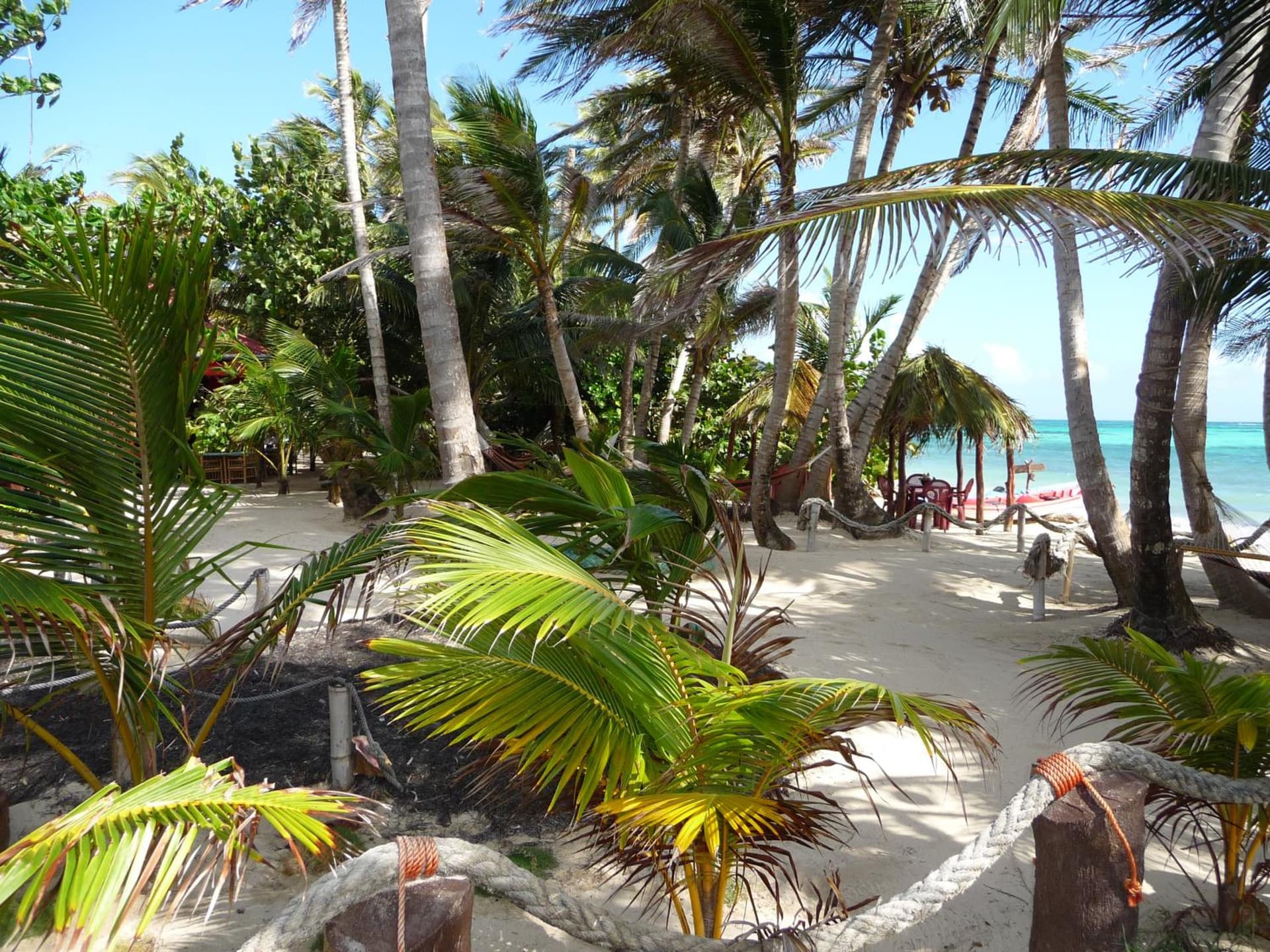 Little Corn Island Beach and Bungalow - Photo 75