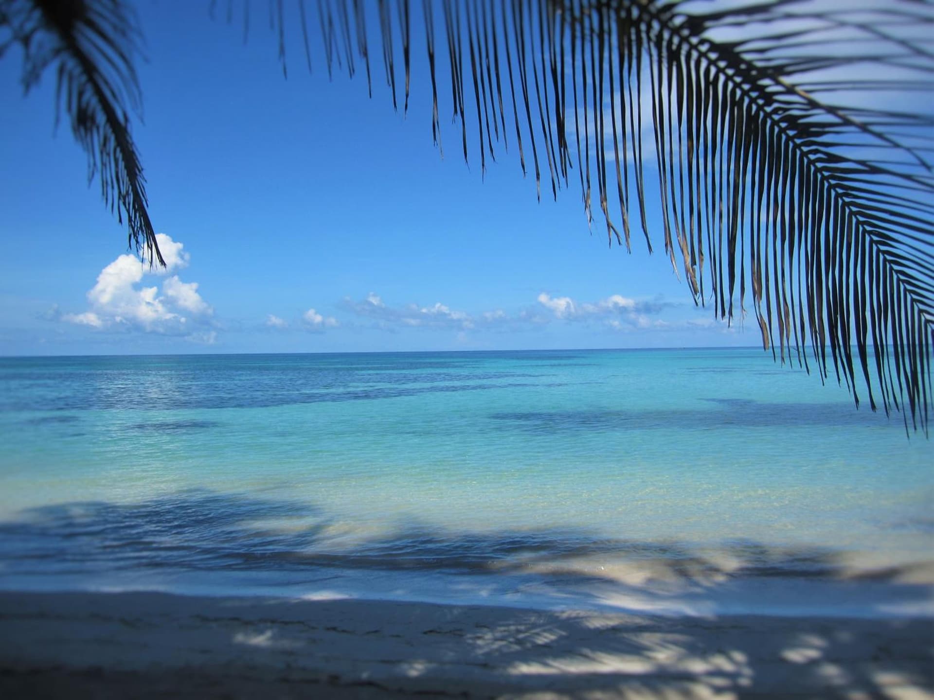 Little Corn Island Beach and Bungalow - Photo 54
