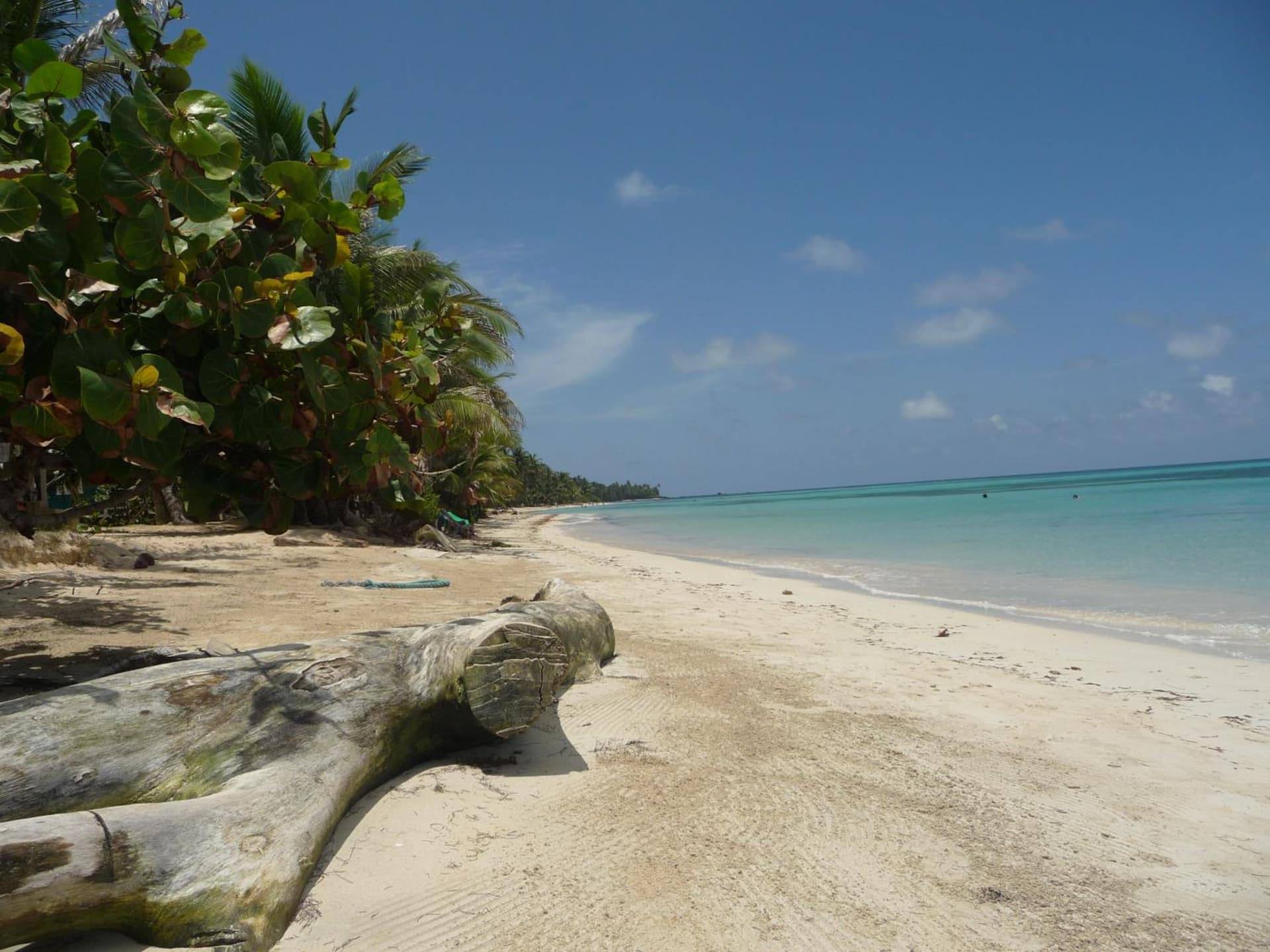 Little Corn Island Beach and Bungalow - Photo 53