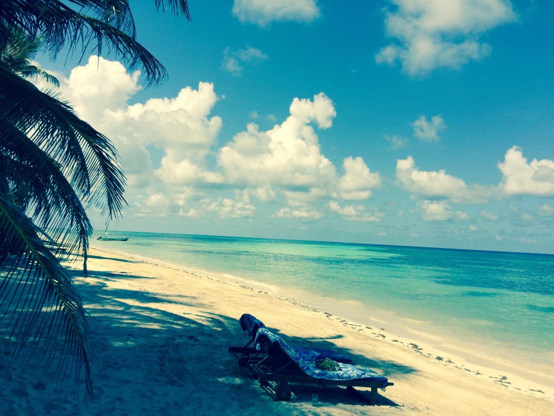 Little Corn Island Beach and Bungalow - Photo 52