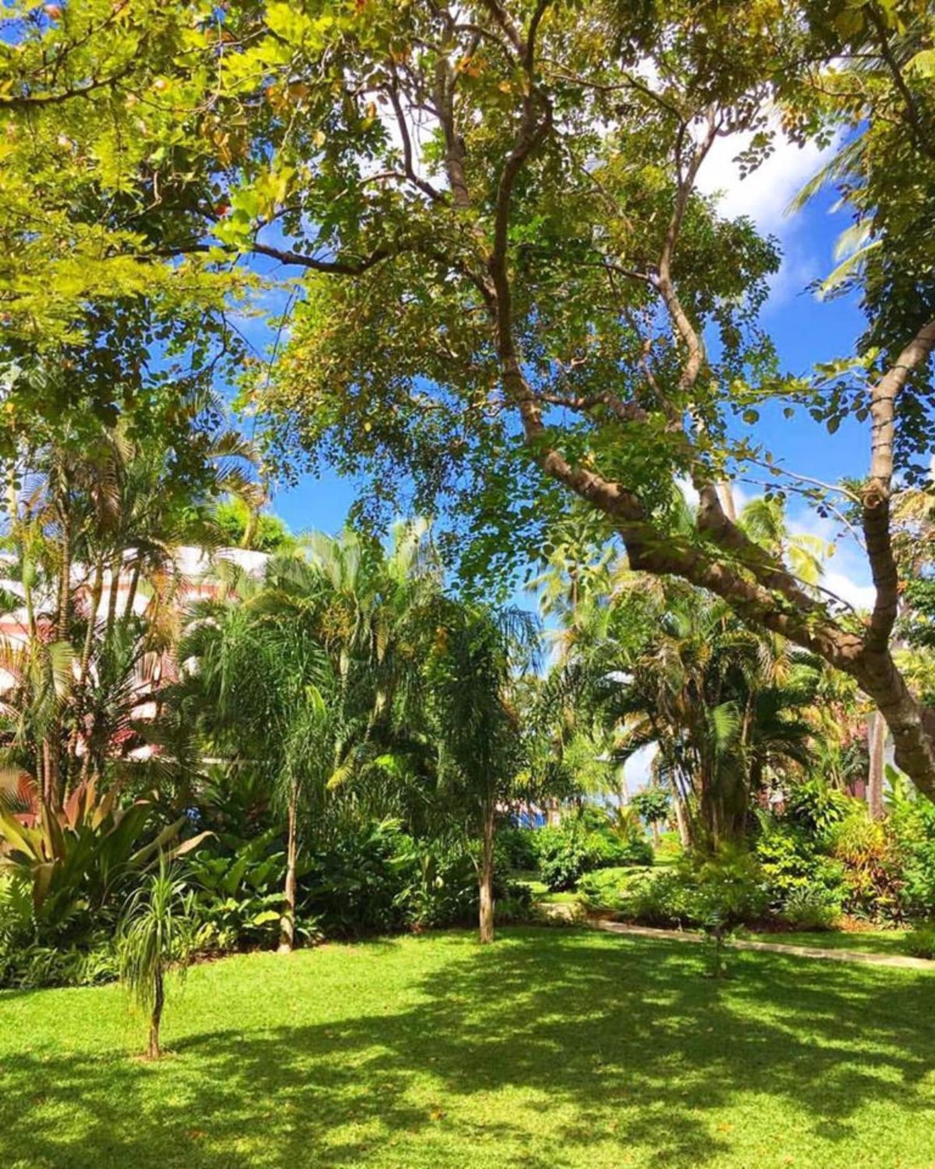 Cobblers Cove - Barbados - Photo 53