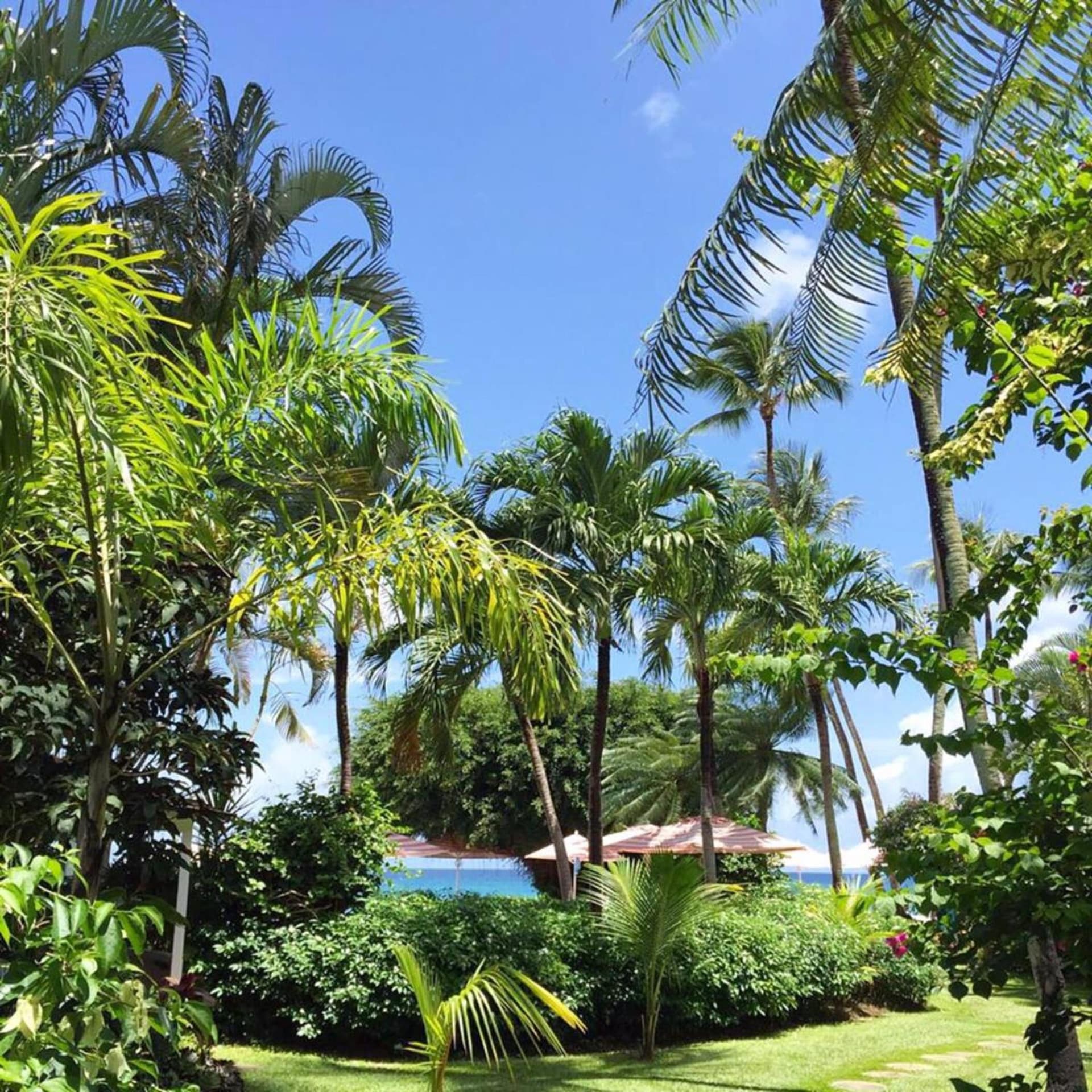 Cobblers Cove - Barbados - Photo 58