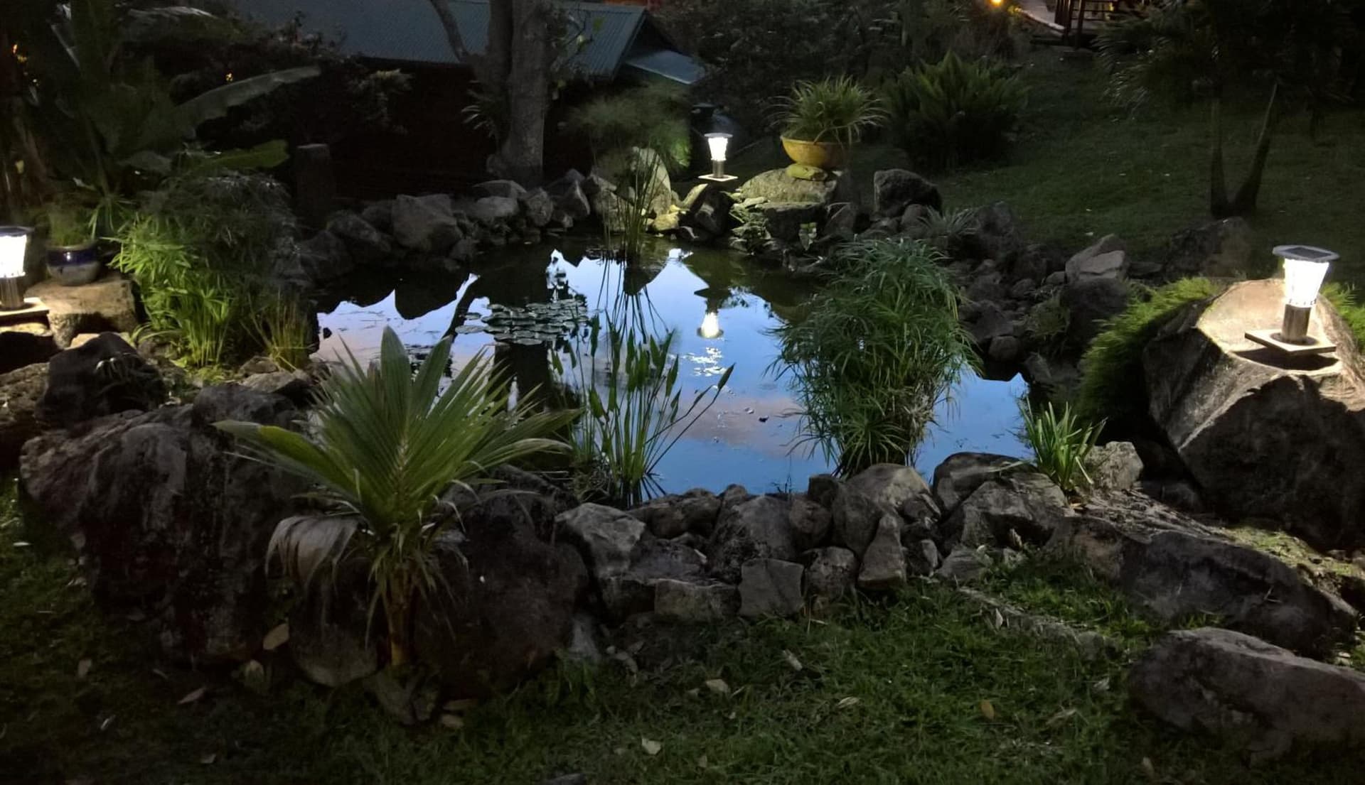 Les Bananes Vertes Ecolodges - Photo 78