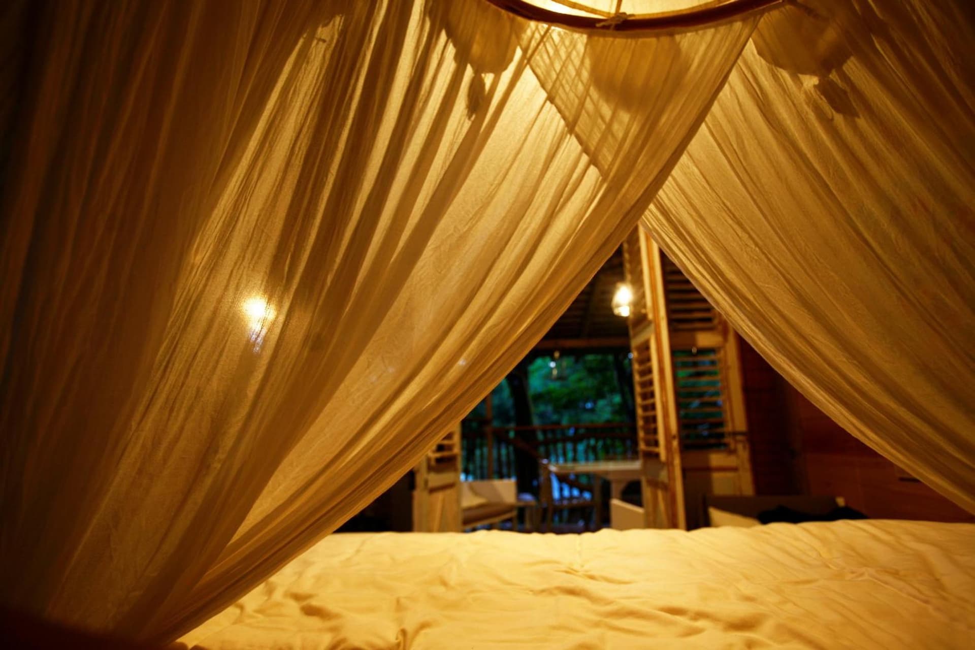 Les Bananes Vertes Ecolodges - Photo 75