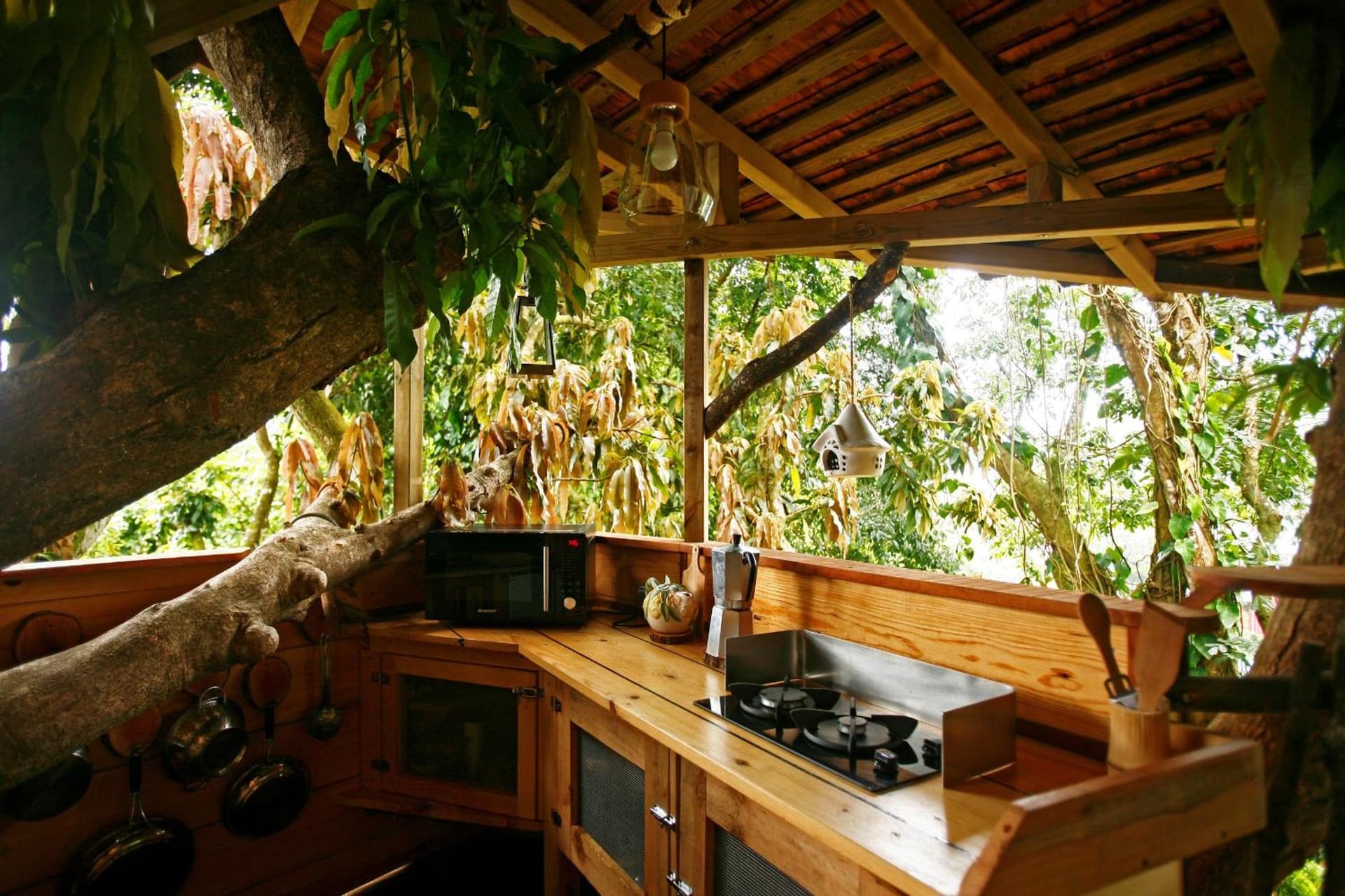 Les Bananes Vertes Ecolodges - Photo 73