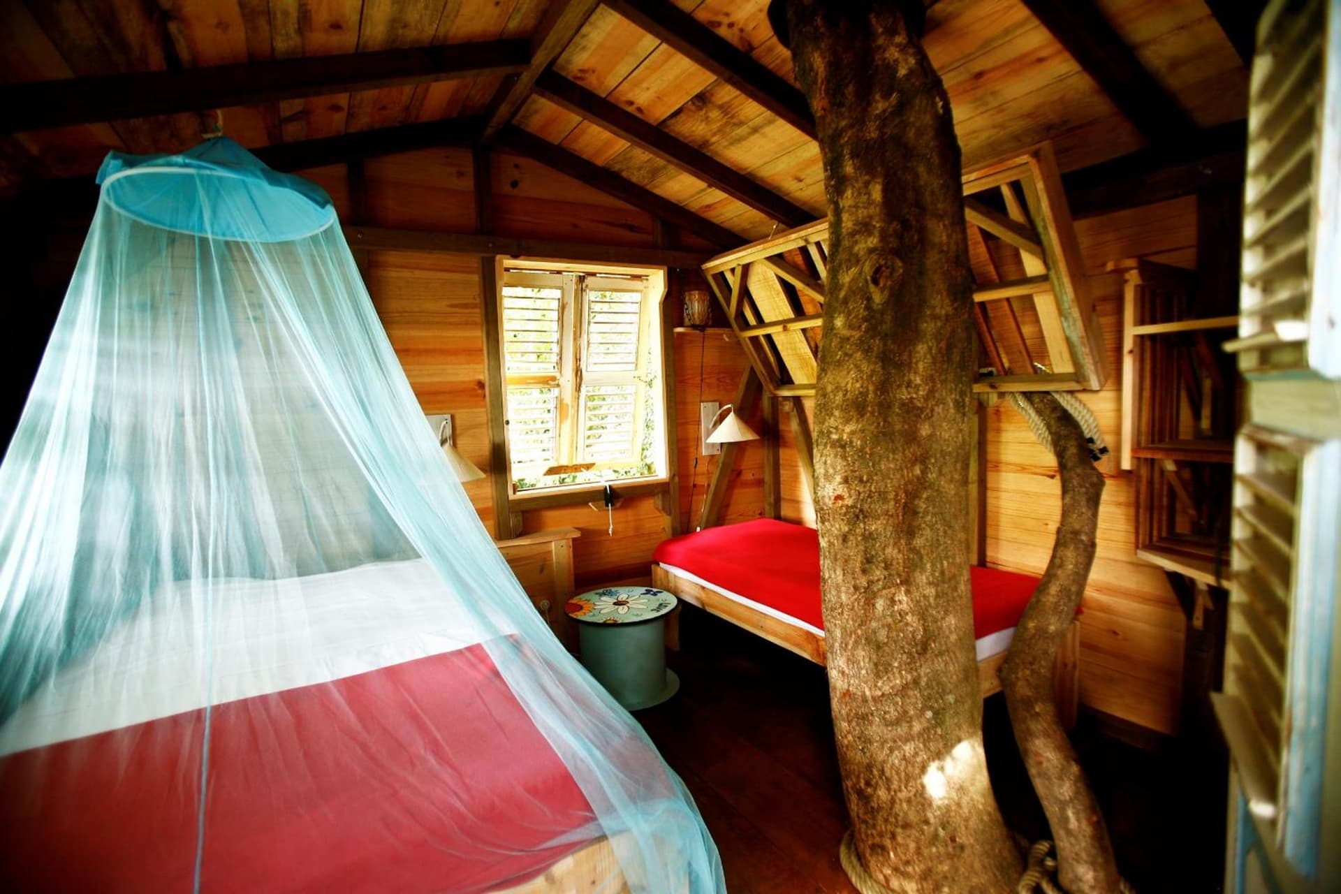 Les Bananes Vertes Ecolodges - Photo 77