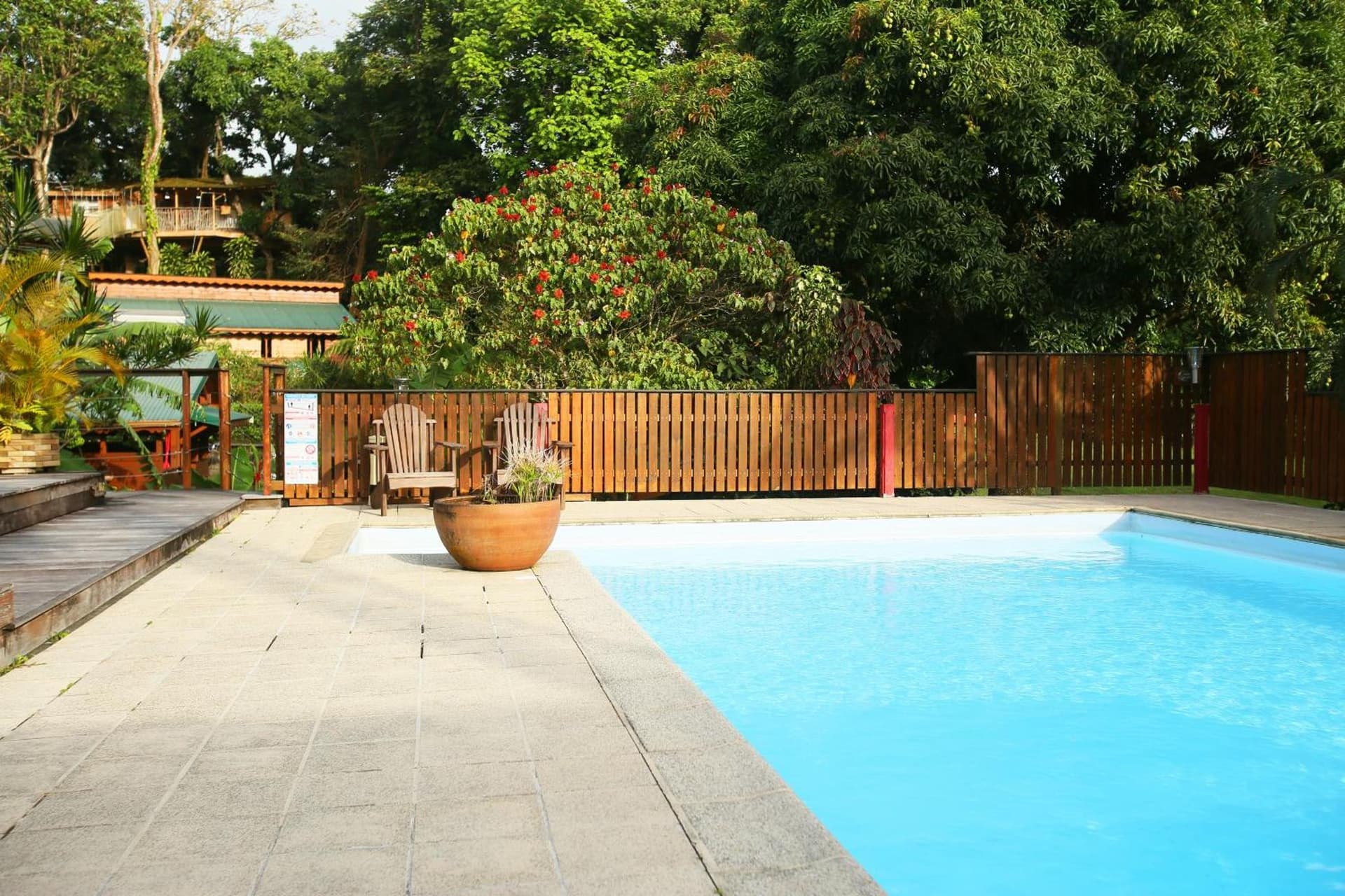 Les Bananes Vertes Ecolodges - Photo 67