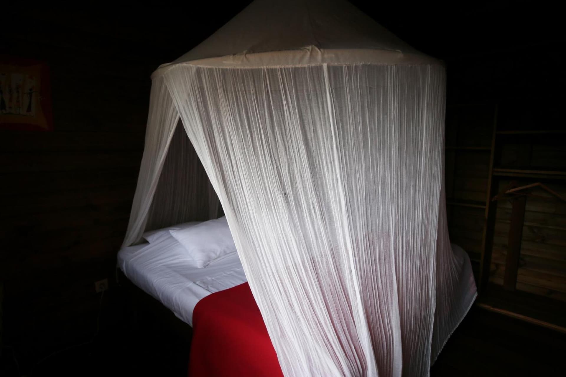 Les Bananes Vertes Ecolodges - Photo 62