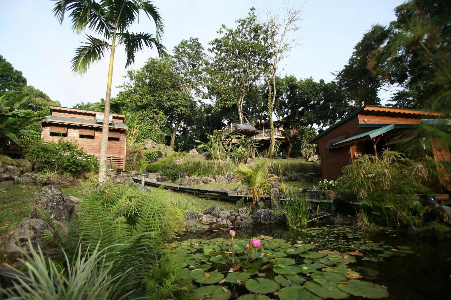 Les Bananes Vertes Ecolodges - Photo 86