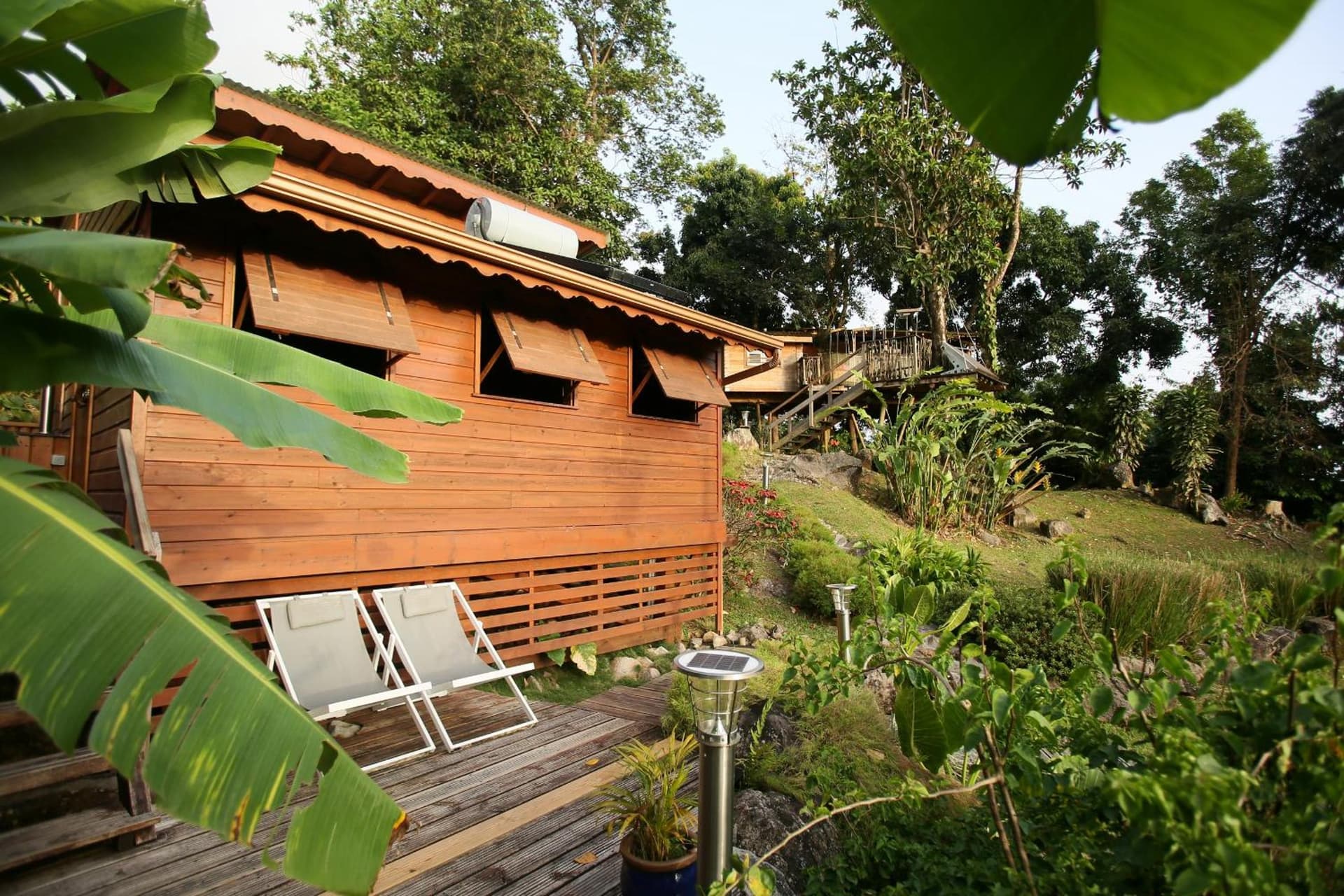 Les Bananes Vertes Ecolodges - Photo 49
