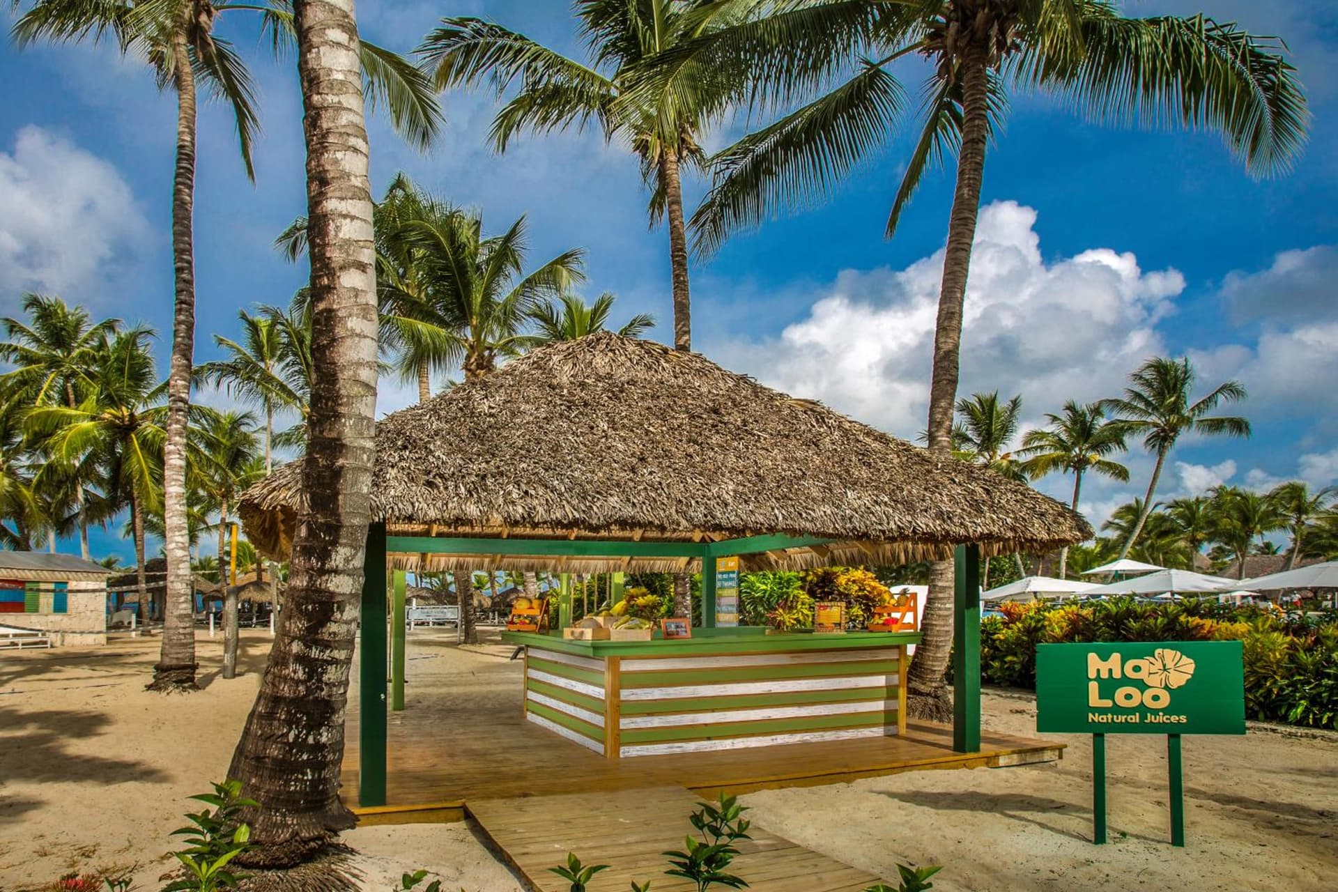 Catalonia Royal La Romana Adults Only - All Inclusive - Photo 25