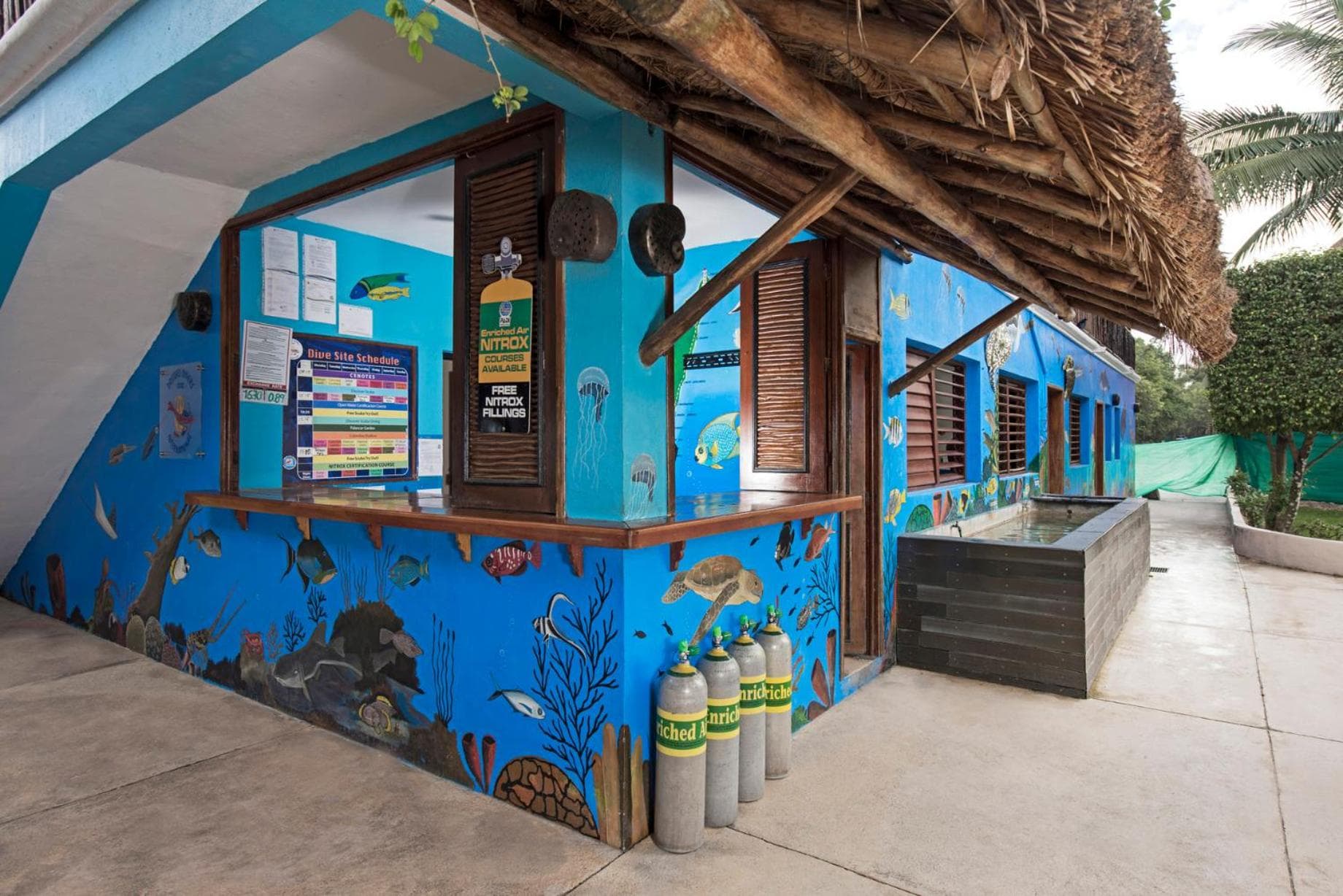 Iberostar Waves Cozumel - All Inclusive - Photo 46