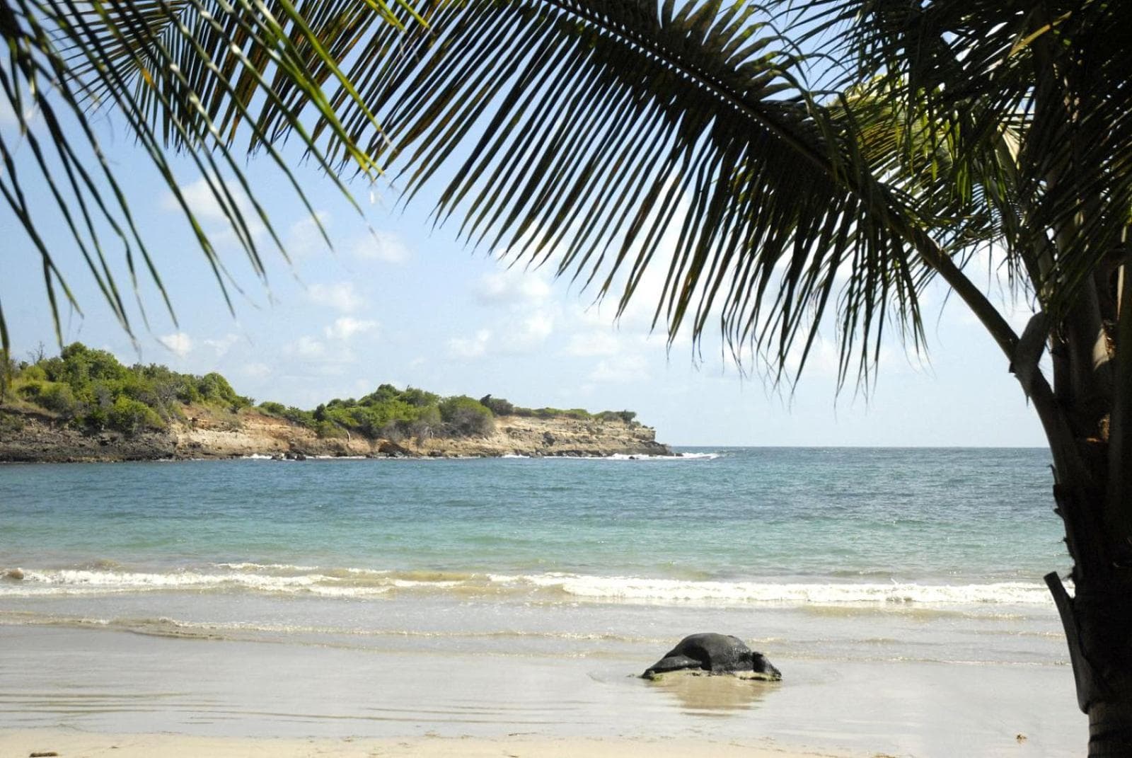 Cabier Ocean Lodge - Photo 37