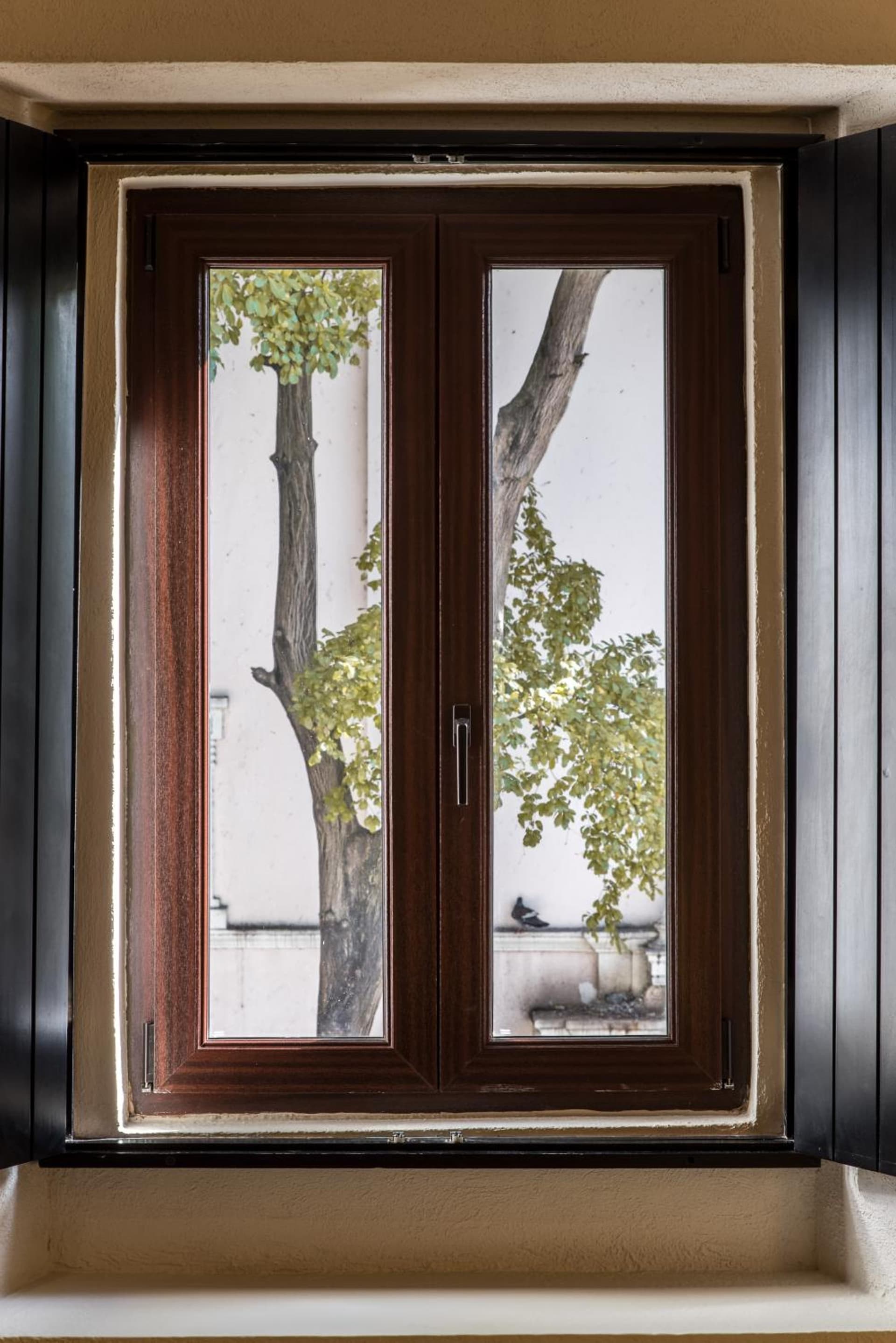 Hodelpa Nicolás de Ovando - Photo 70