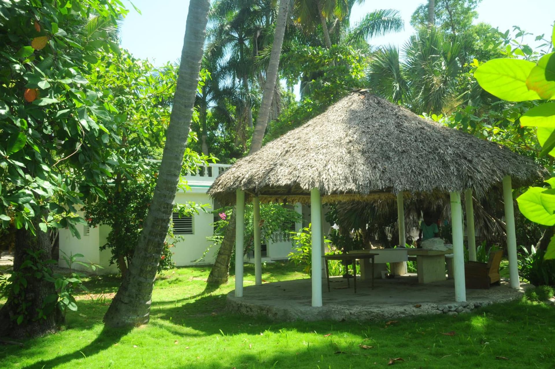 hotel florita - Photo 150