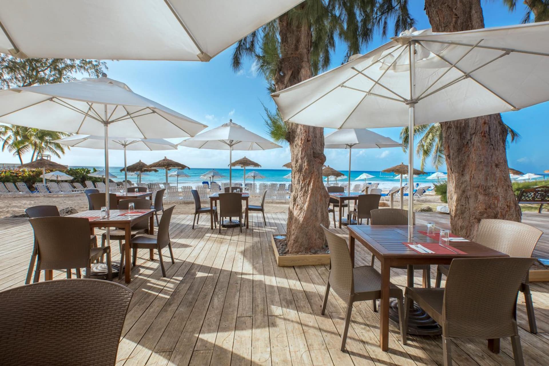 Bougainvillea Barbados - Photo 31