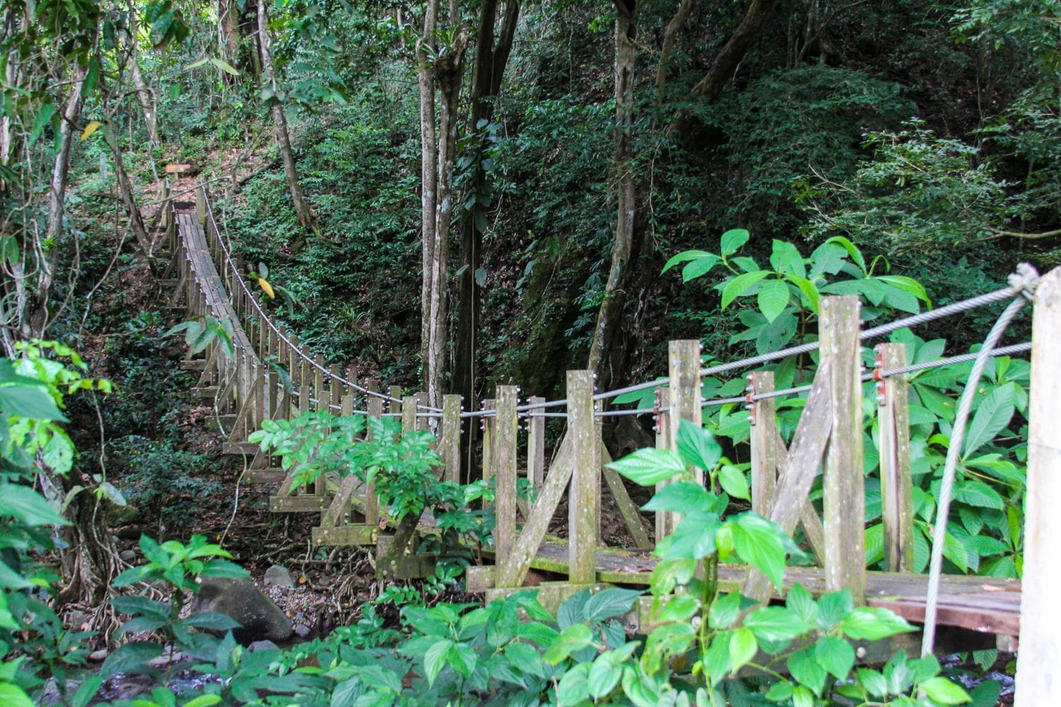 The Champs - Photo 38