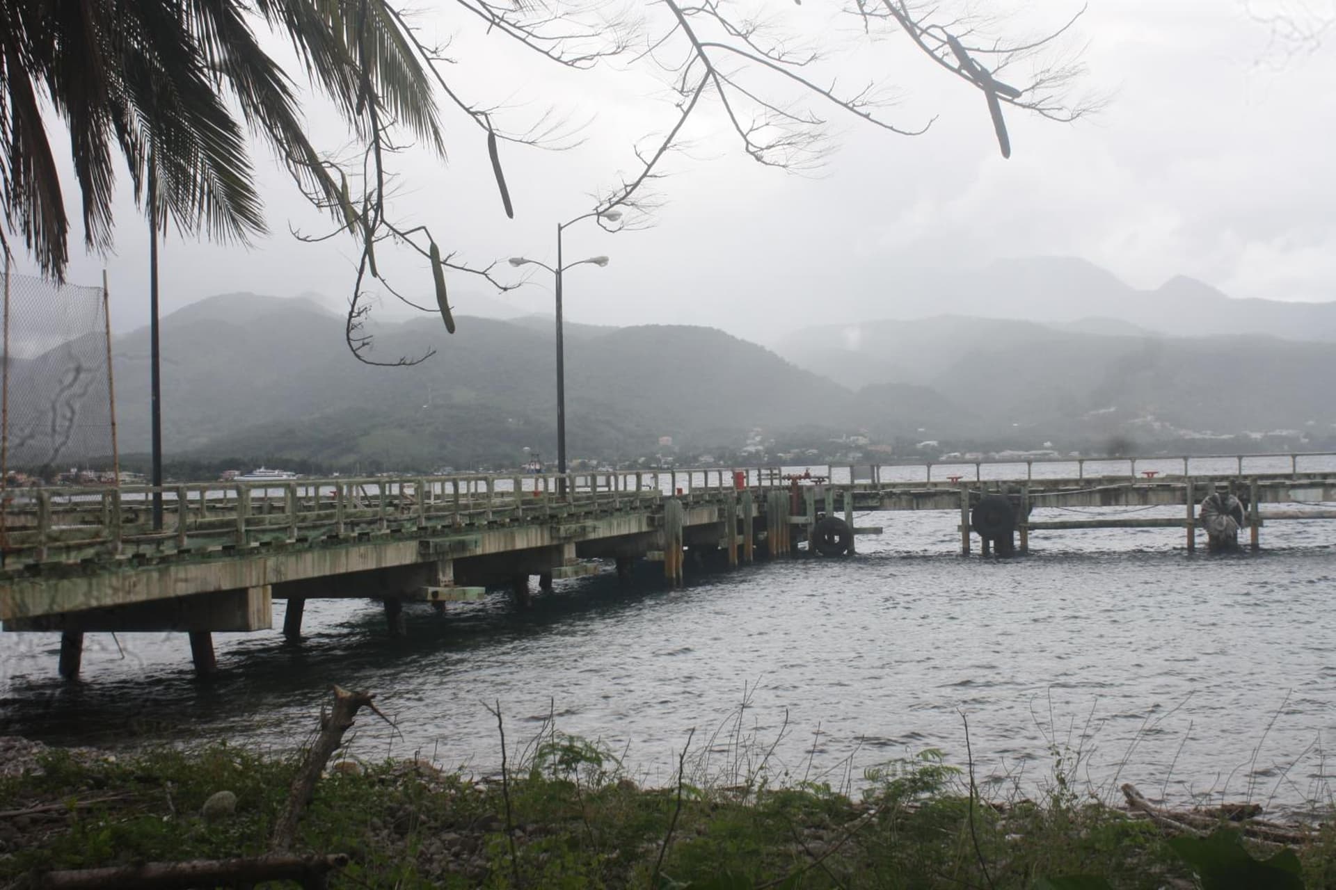 The Champs - Photo 40