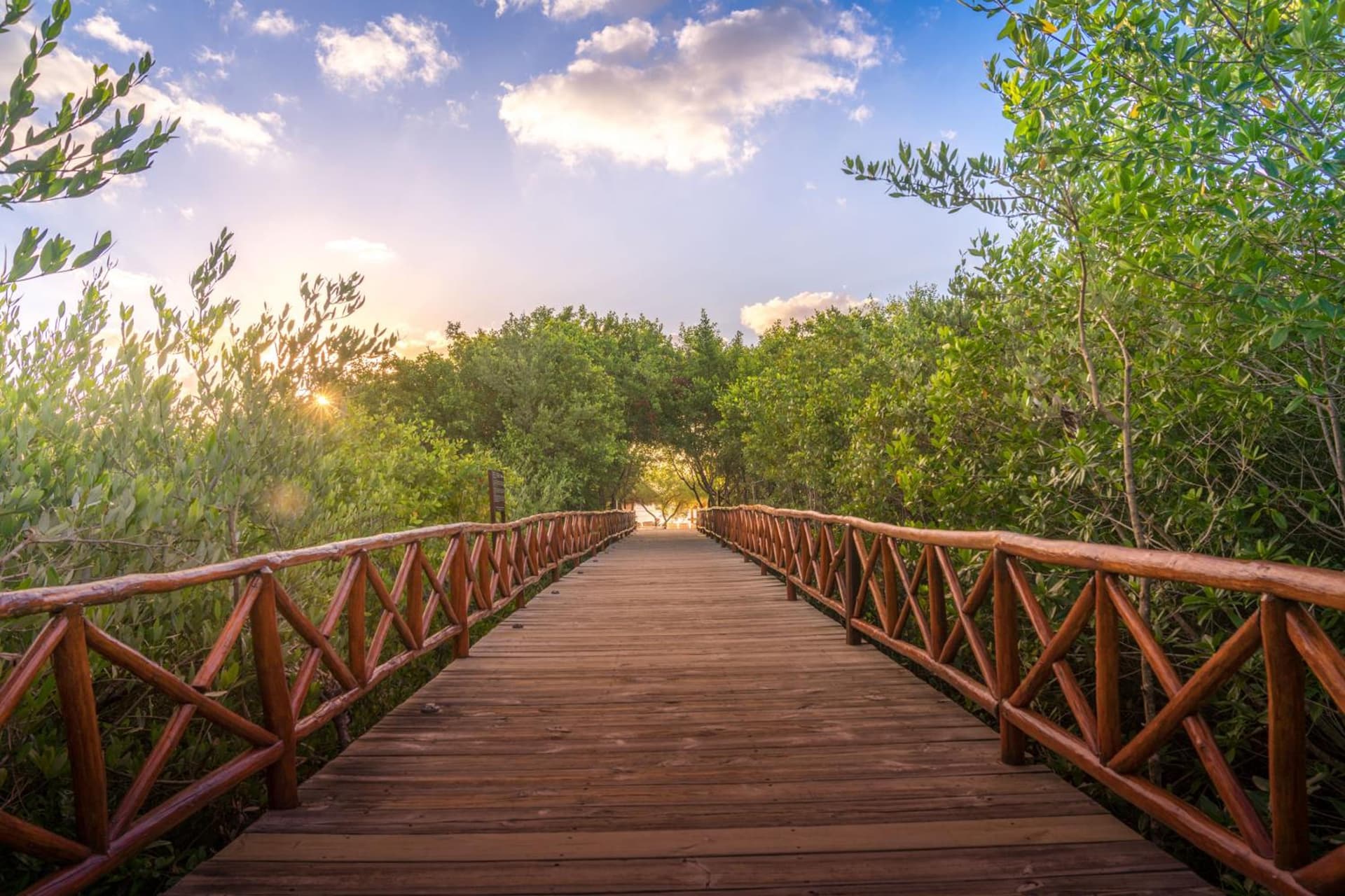 Platinum Yucatan Princess Adults Only - All Inclusive - Photo 66