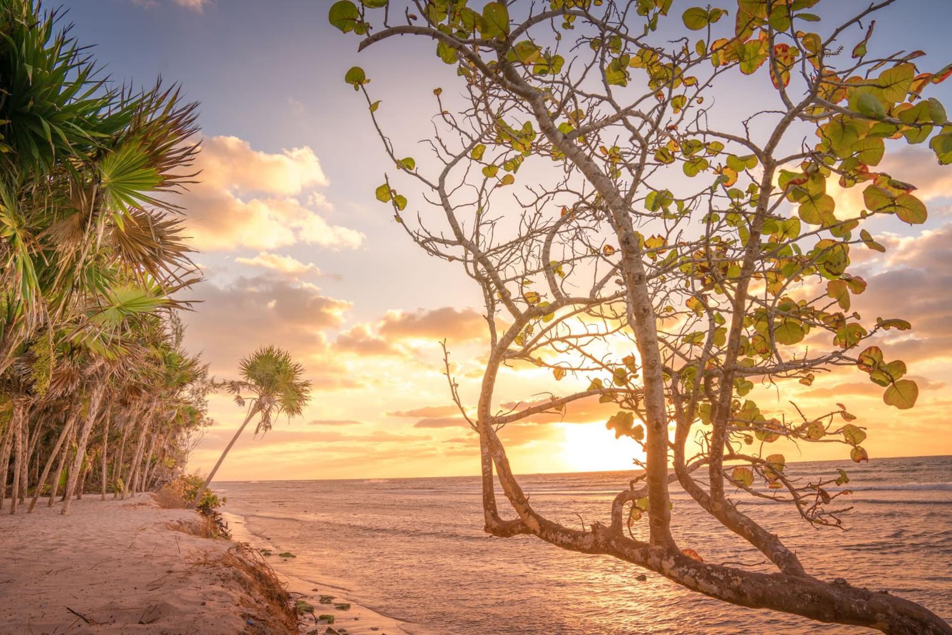 Platinum Yucatan Princess Adults Only - All Inclusive - Photo 69