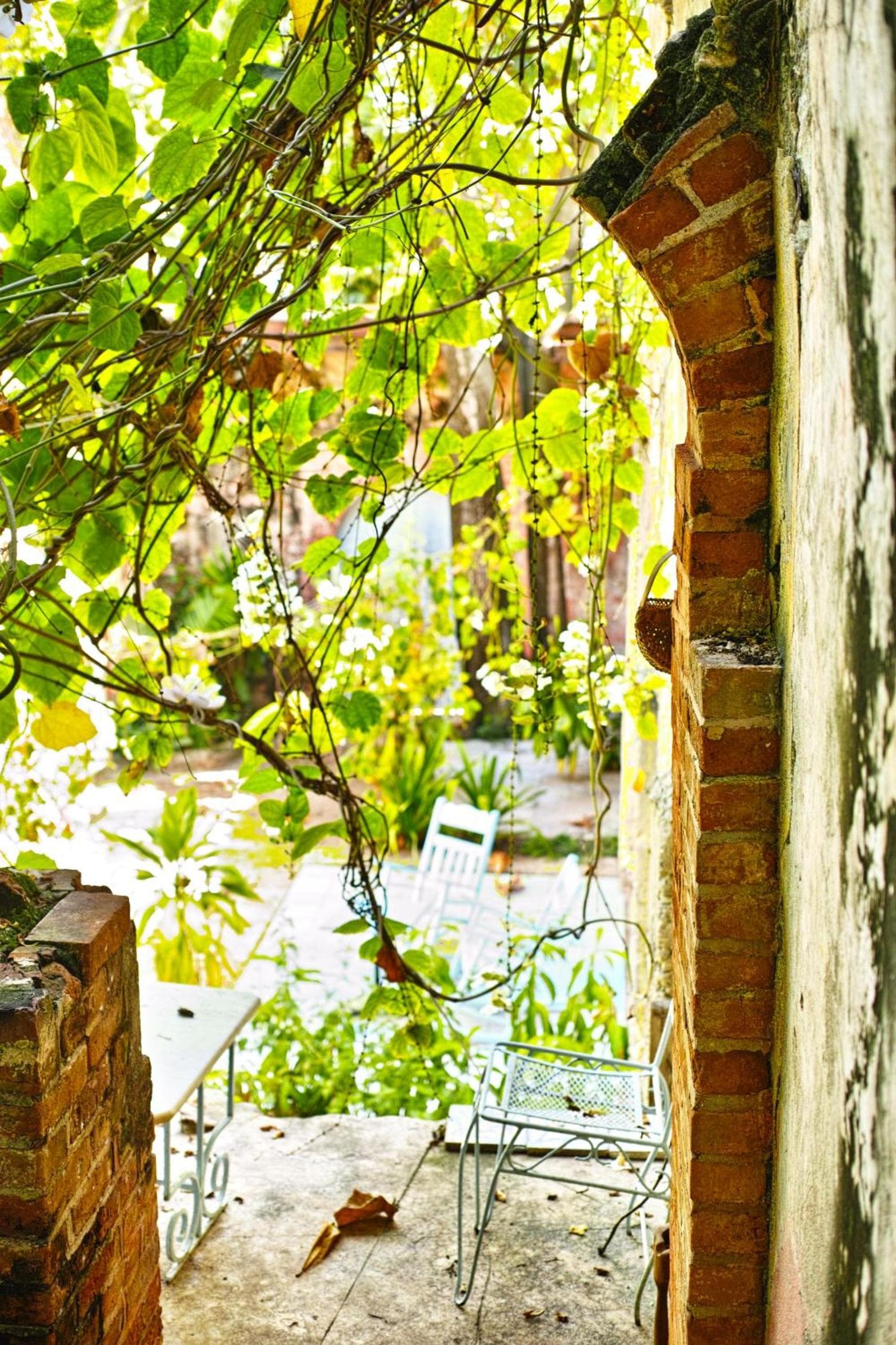 hotel florita - Photo 26