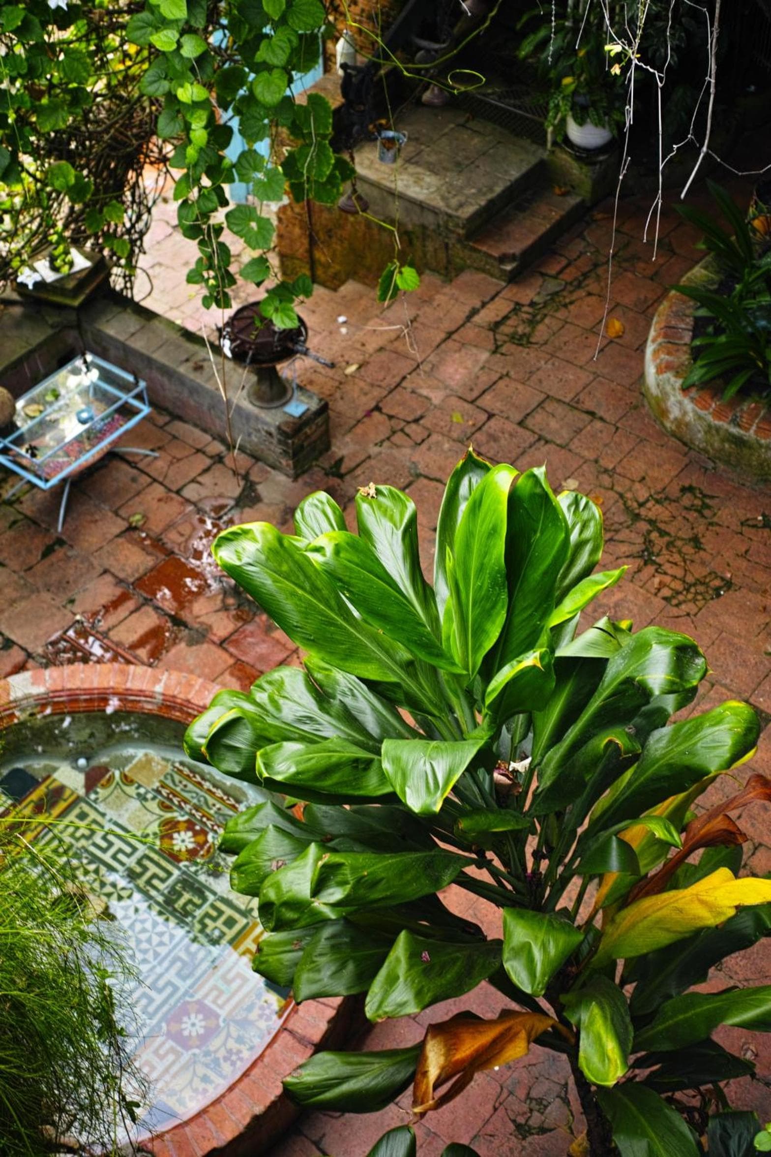 hotel florita - Photo 27