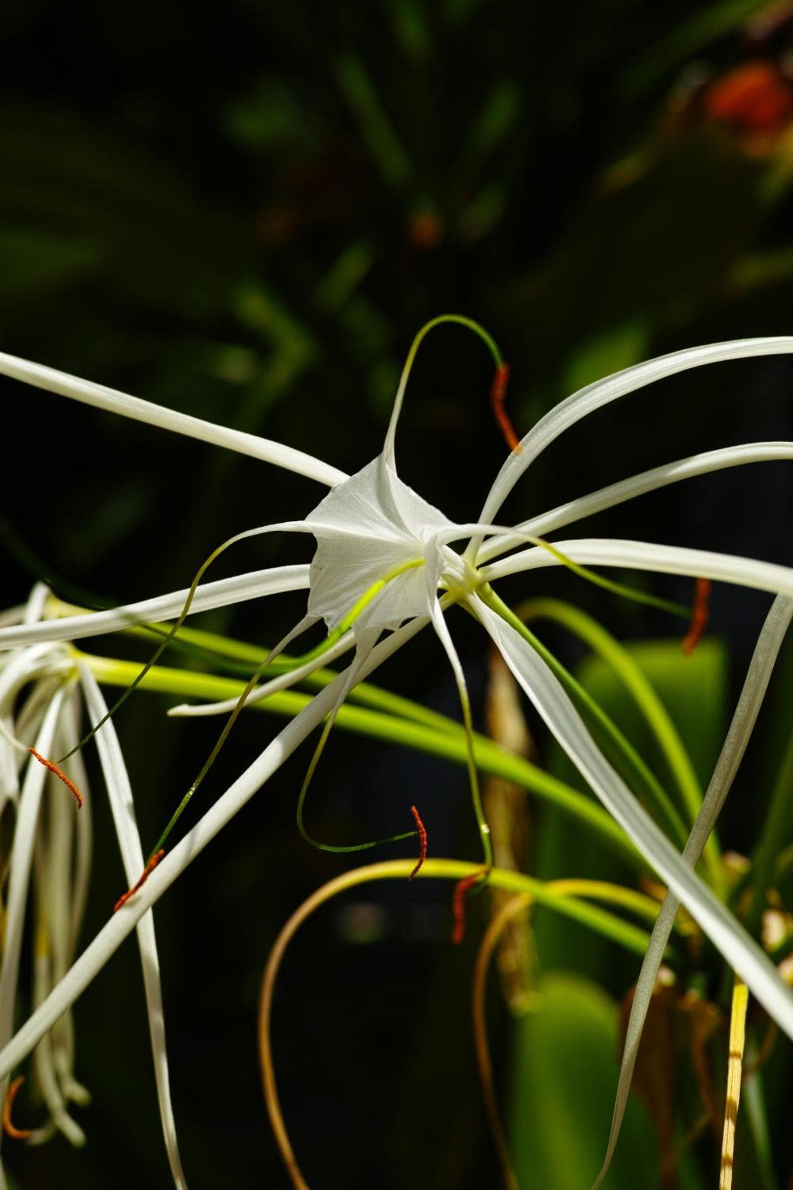 hotel florita - Photo 35