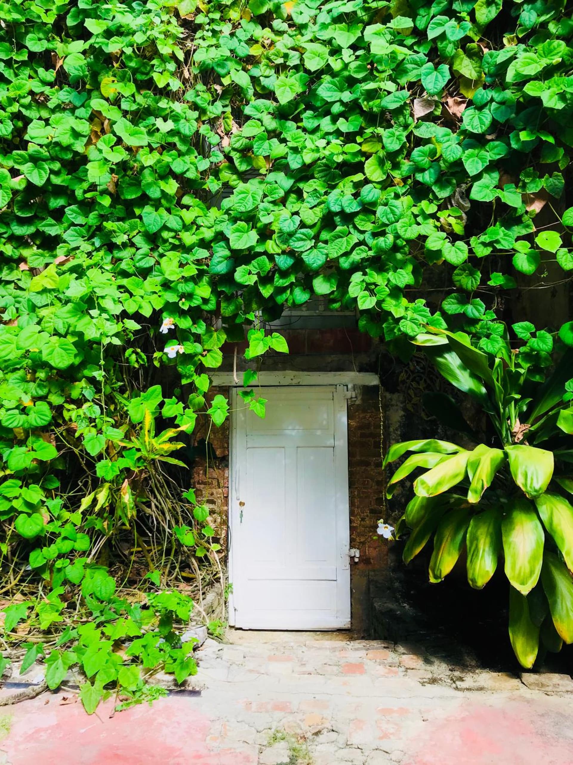 hotel florita - Photo 4