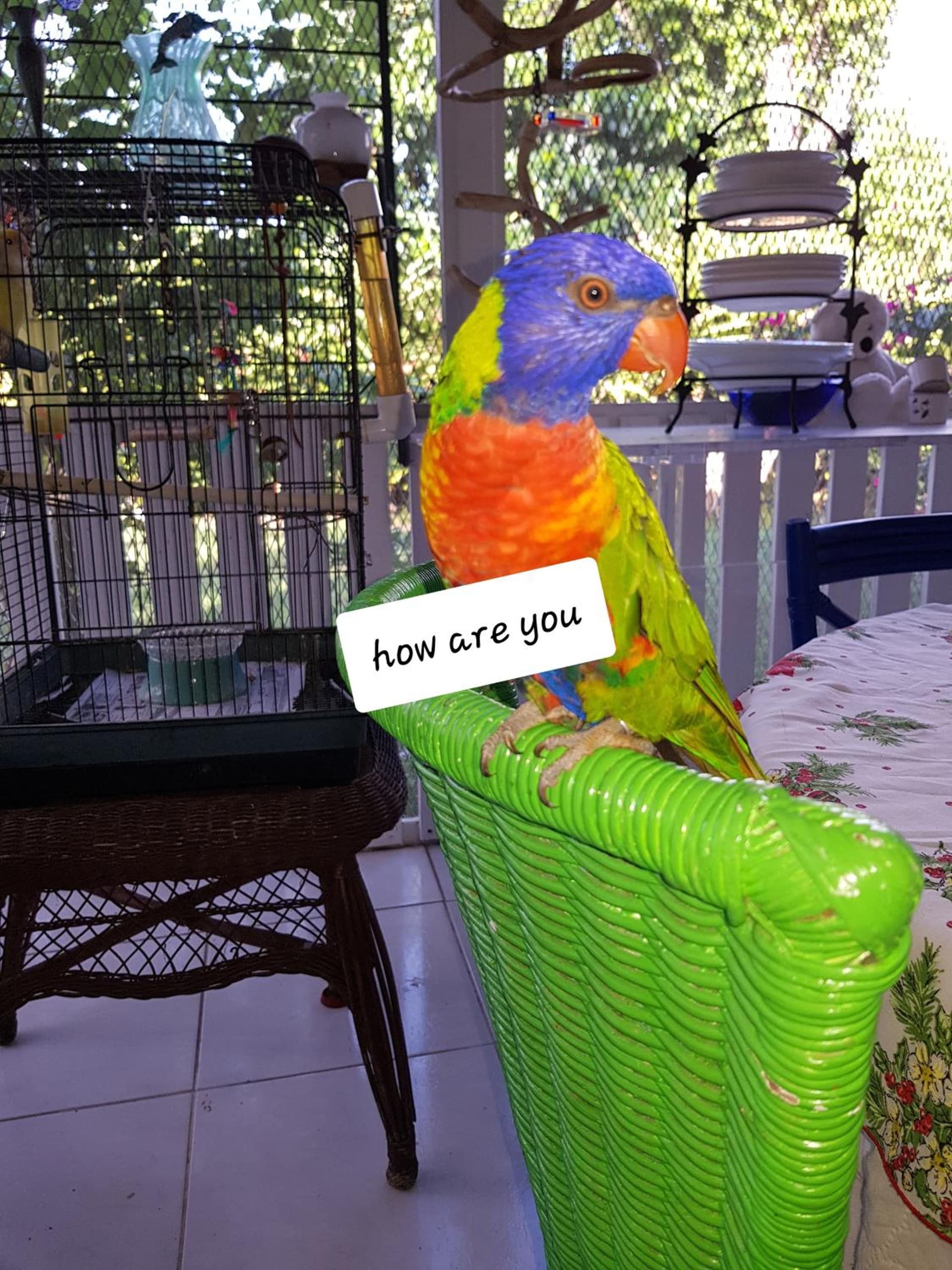 Bajamar Your Second Home Guest Property - Photo 12