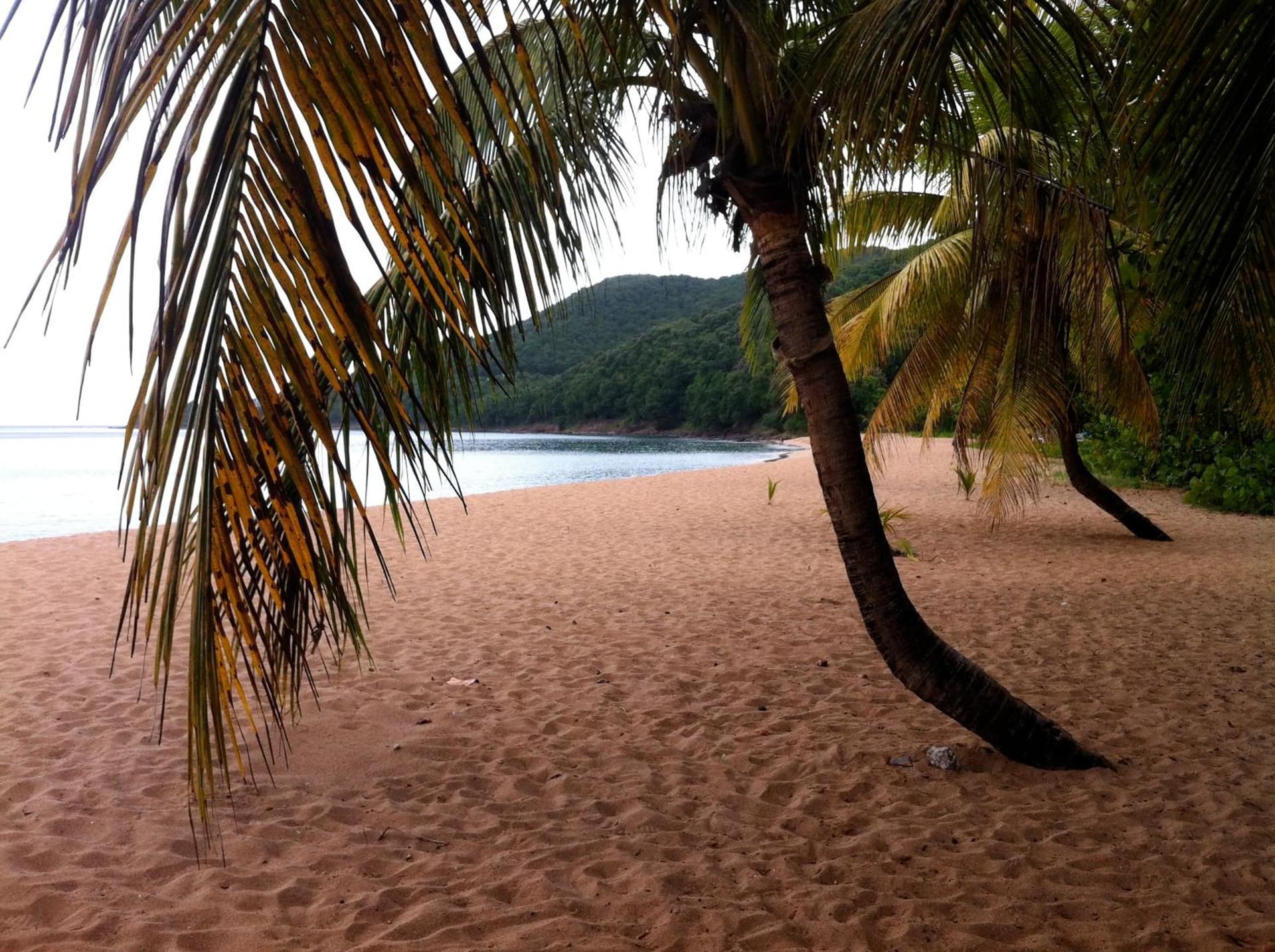 Habitation Grande Anse Résidence hôtelière - Photo 74