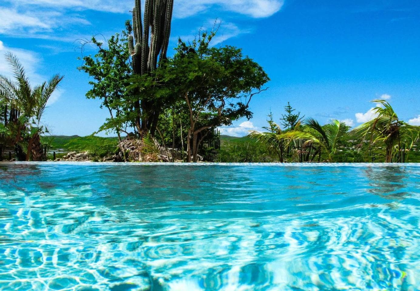 Landhuis Klein Santa Martha Boutique Hotel Restaurant. - Photo 39