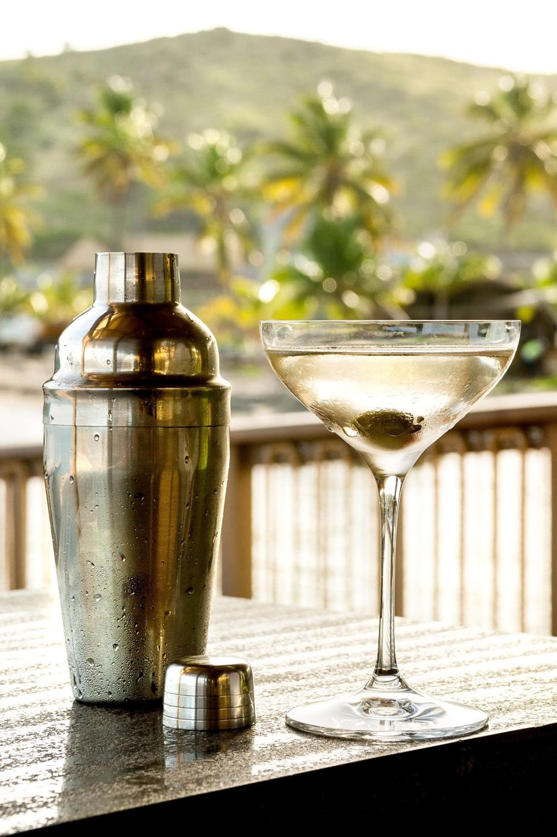 Park Hyatt St. Kitts - Photo 29