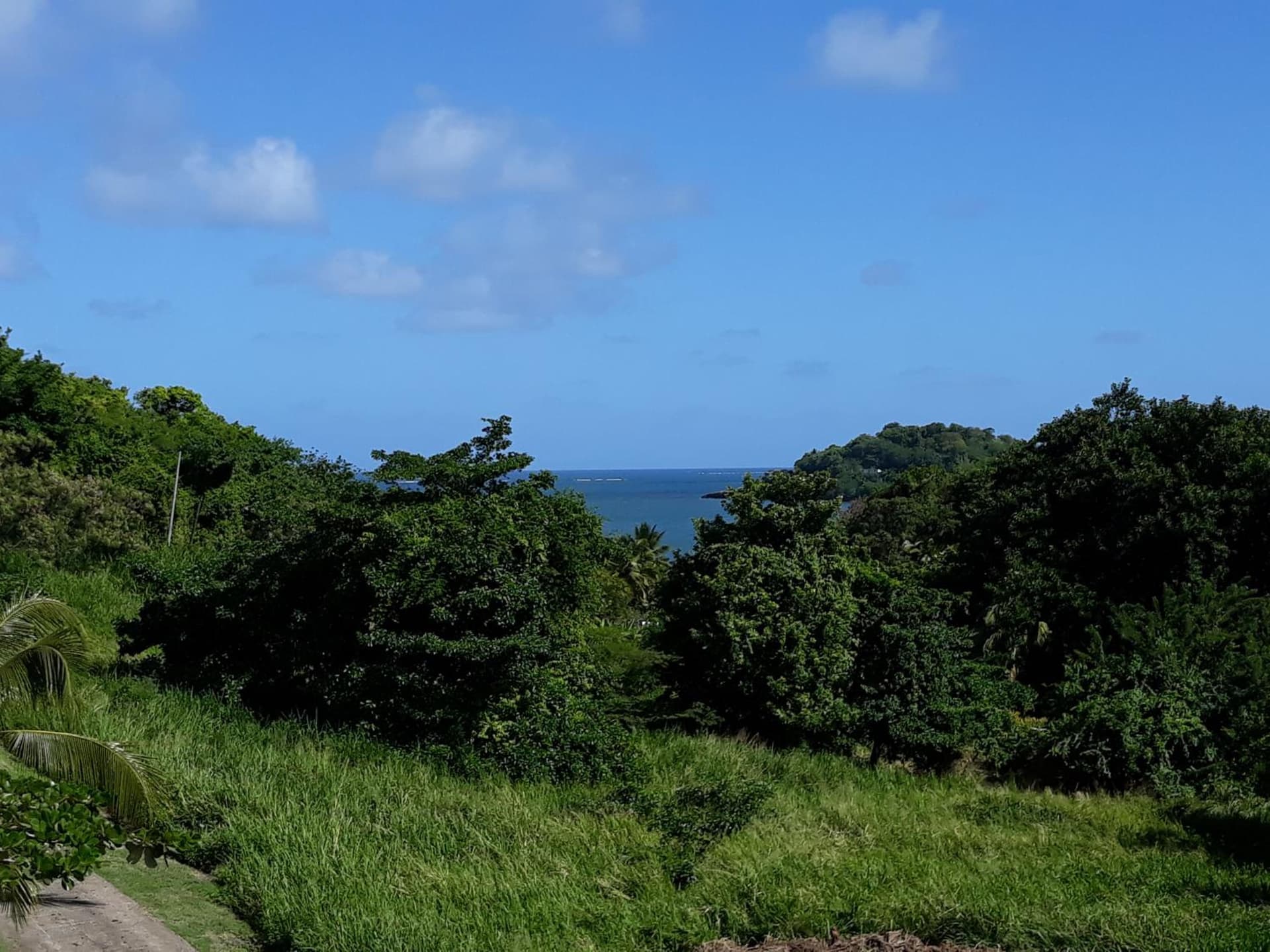 Villa Clémence - Photo 18