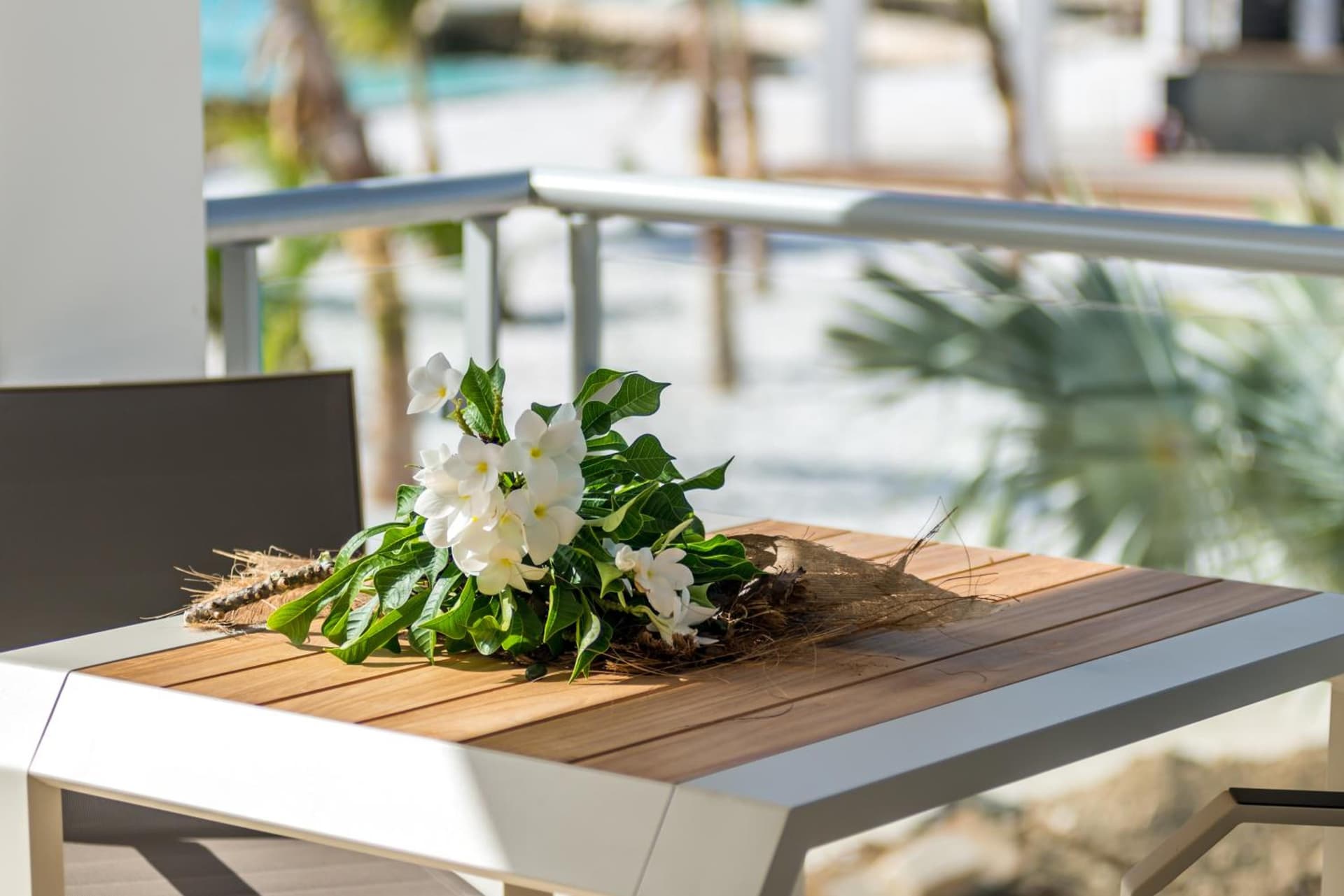 Delfins Beach Resort Bonaire, Tapestry Collection by Hilton - Photo 30