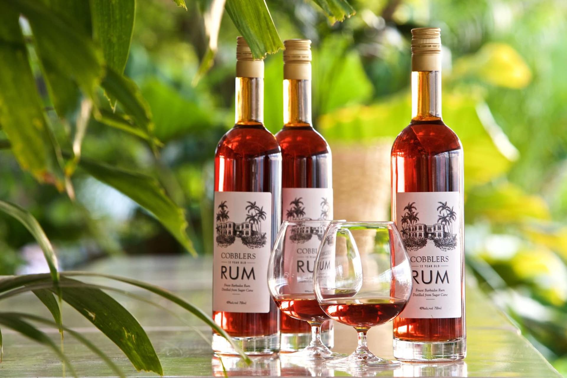 Cobblers Cove - Barbados - Photo 25