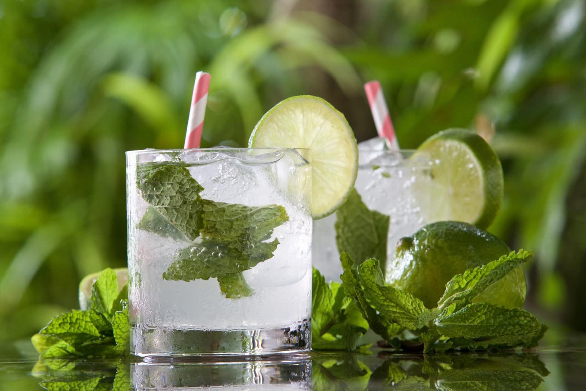 Cobblers Cove - Barbados - Photo 24