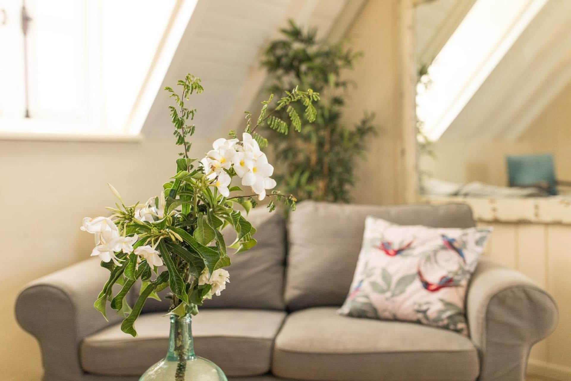 Landhuis Klein Santa Martha Boutique Hotel Restaurant. - Photo 22