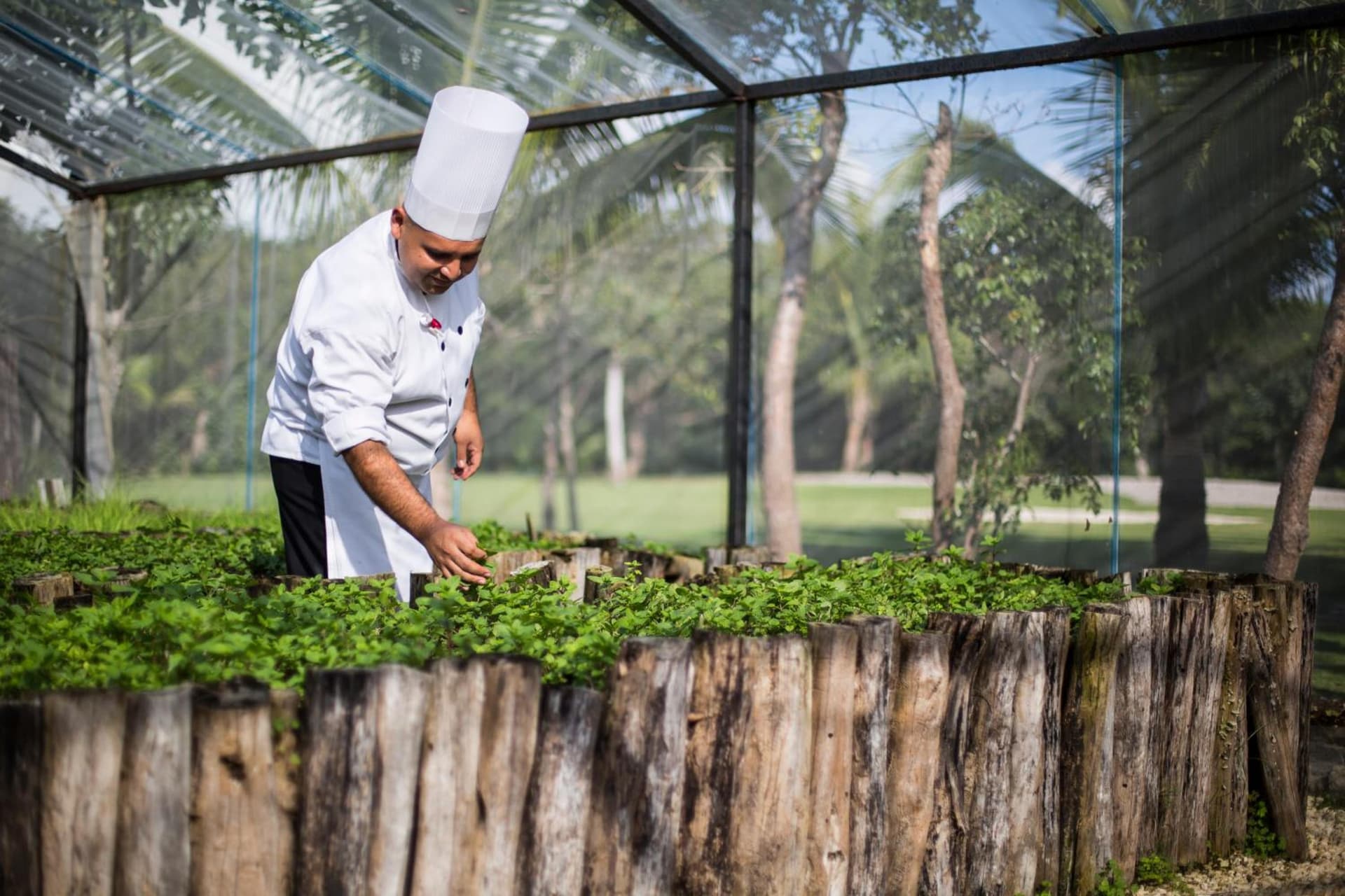 Grand Velas Riviera Maya - All Inclusive - Photo 49