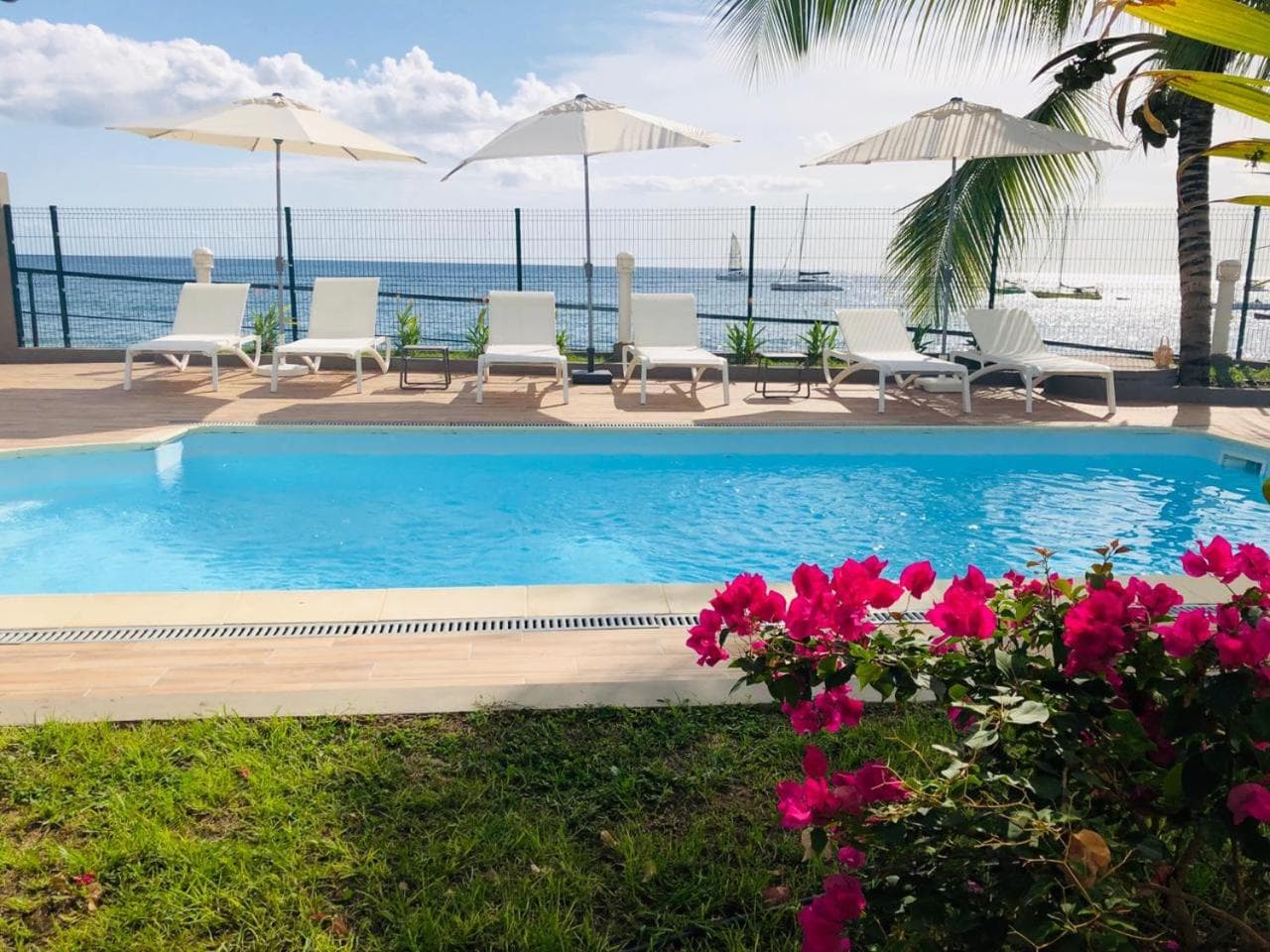 Hotel Pelican - Photo 24