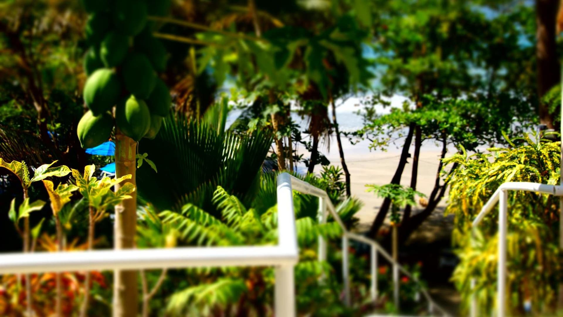 Bacolet Beach Club - Photo 63