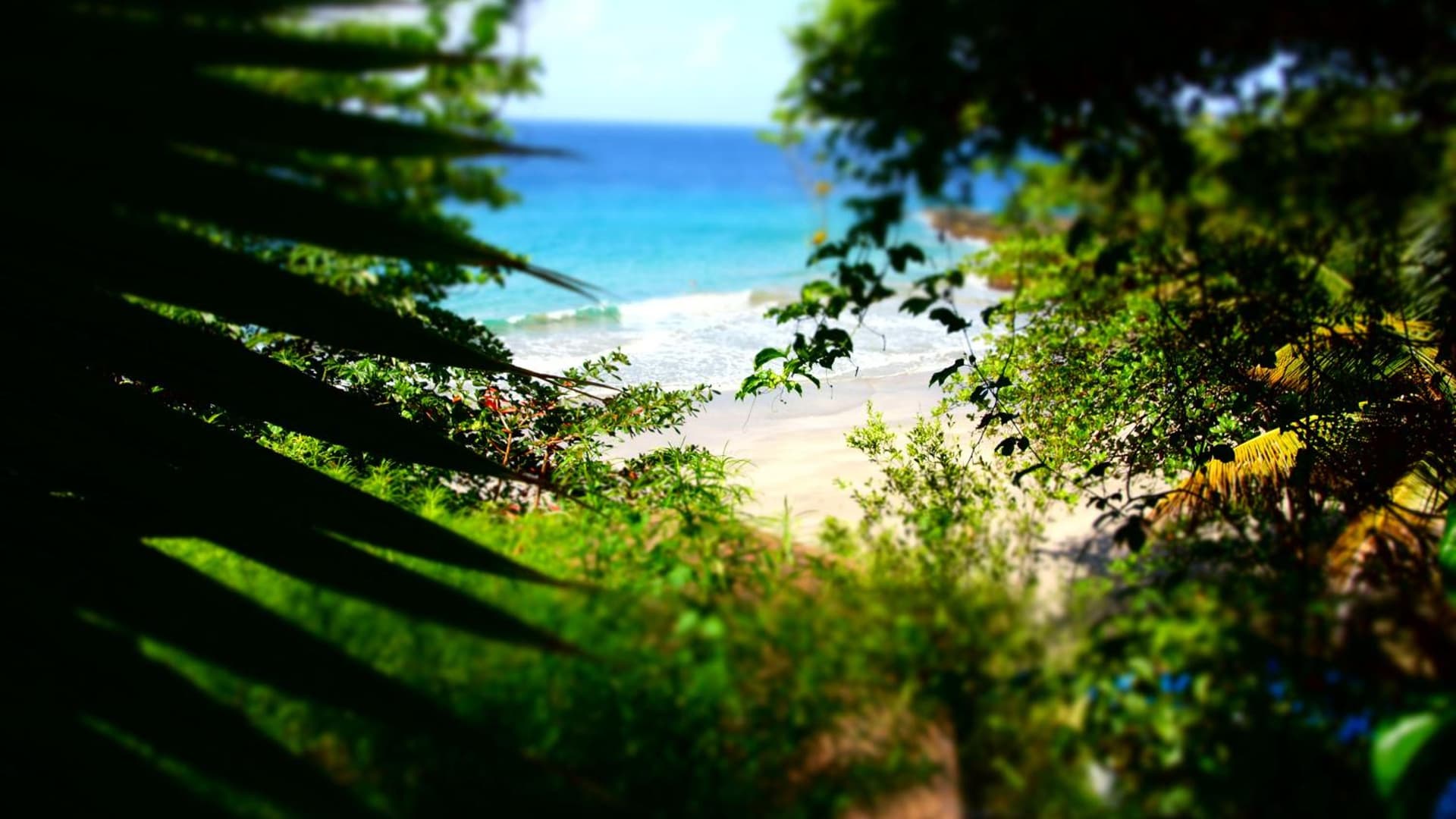 Bacolet Beach Club - Photo 6