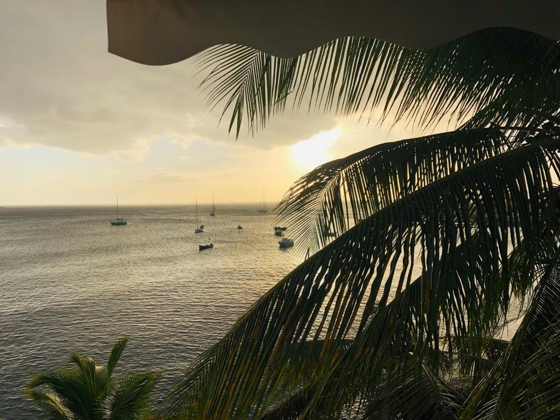 Hotel Pelican - Photo 12