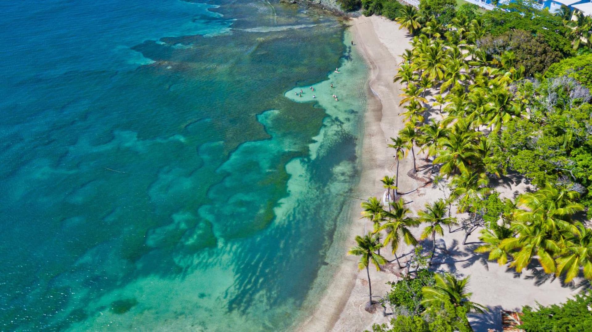 Senator Puerto Plata - Photo 5