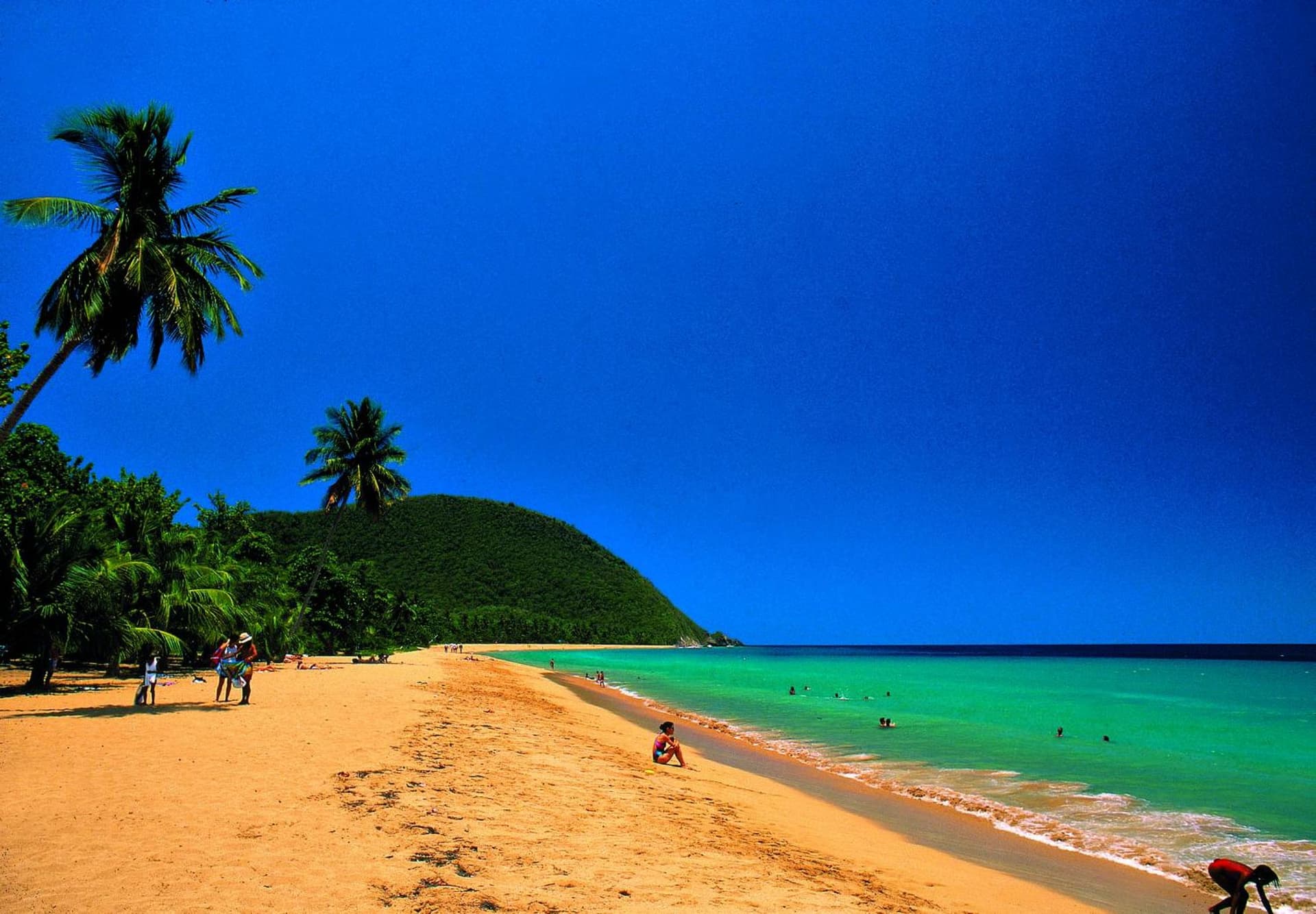 Habitation Grande Anse Résidence hôtelière - Photo 71