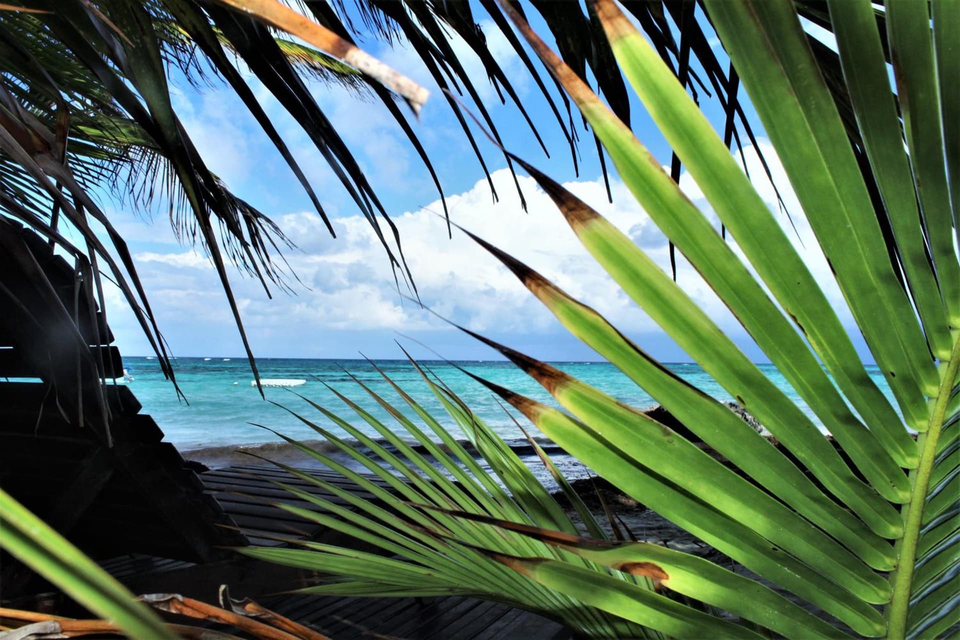 Little Corn Island Beach and Bungalow - Photo 42