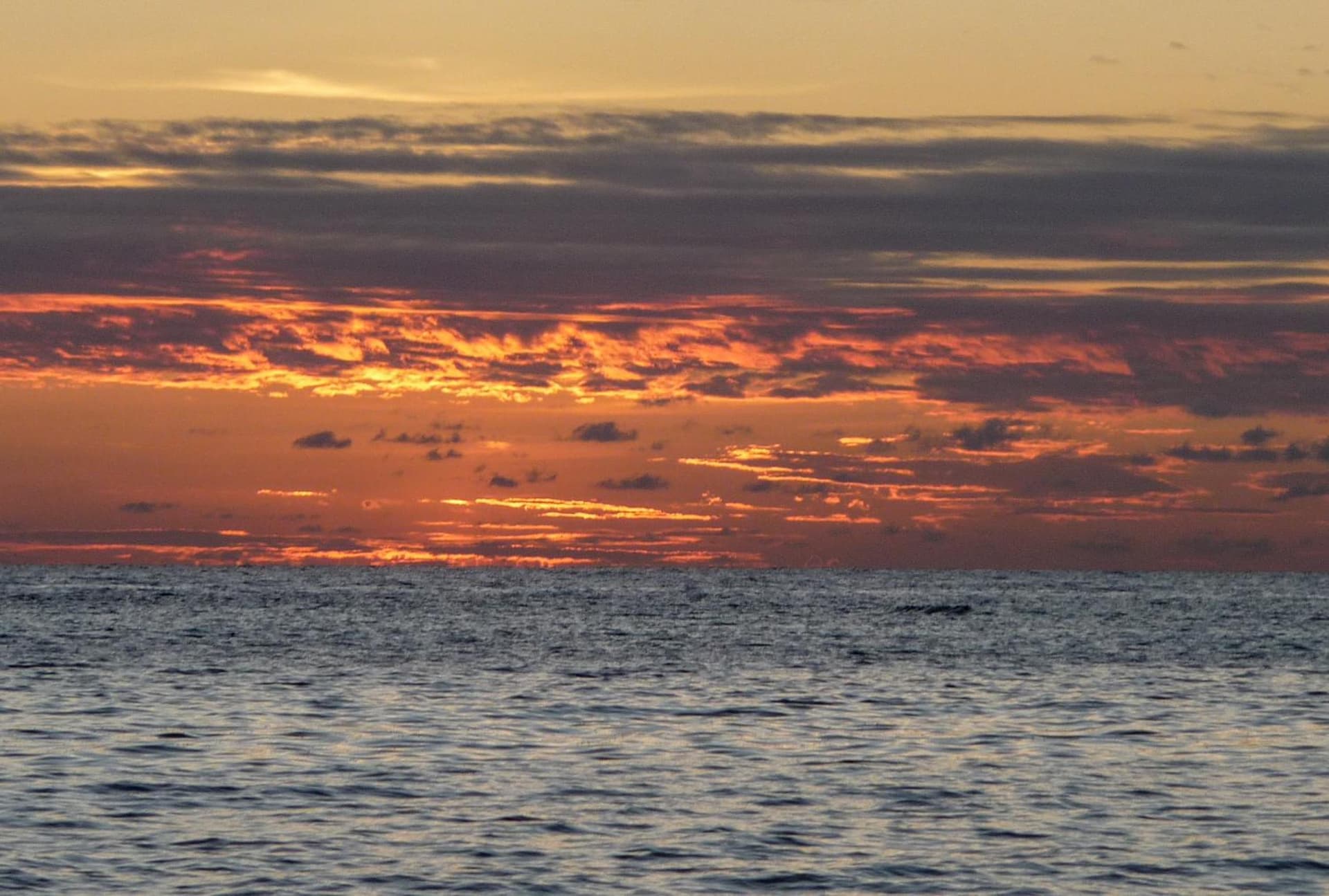 Little Corn Island Beach and Bungalow - Photo 27
