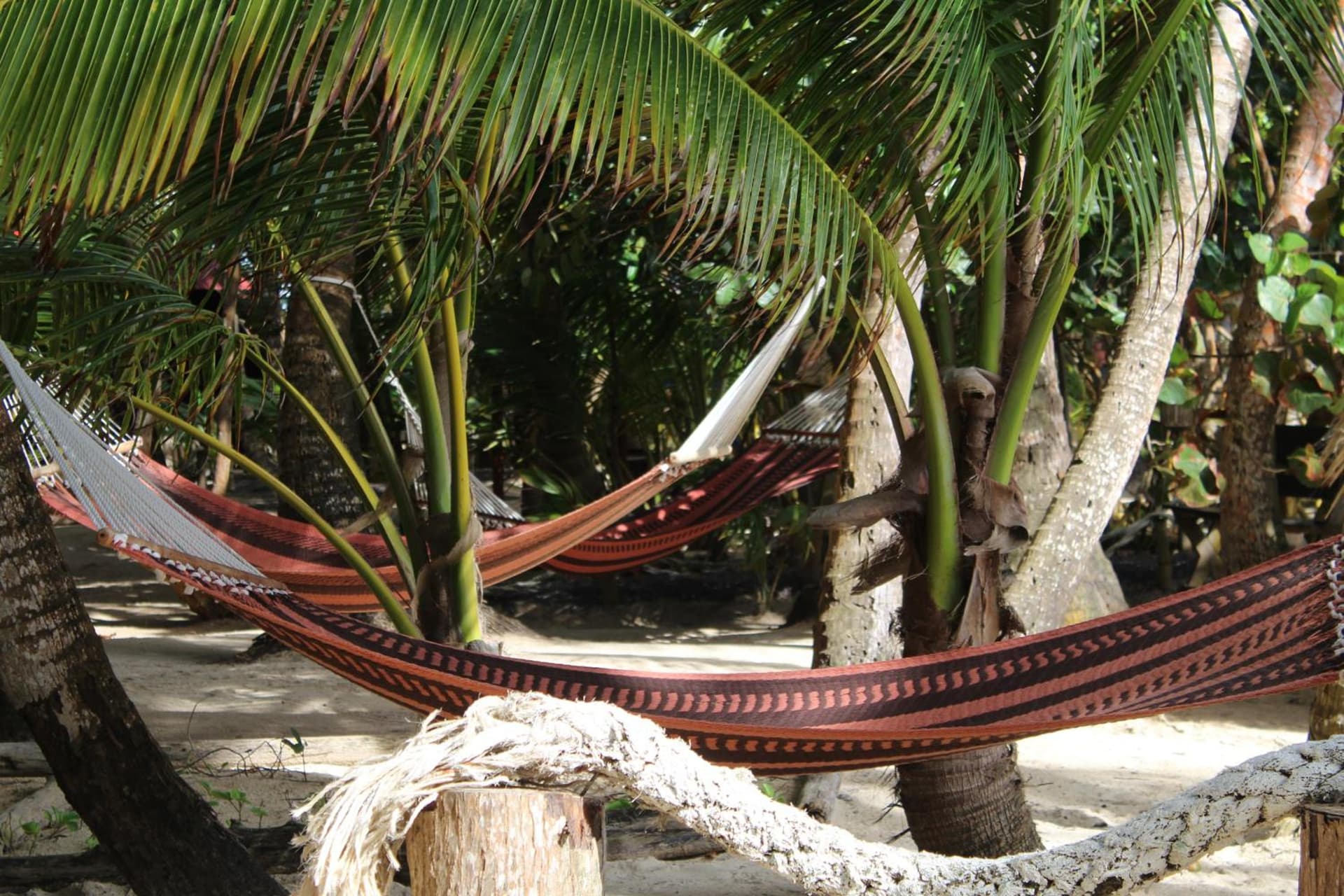 Little Corn Island Beach and Bungalow - Photo 47