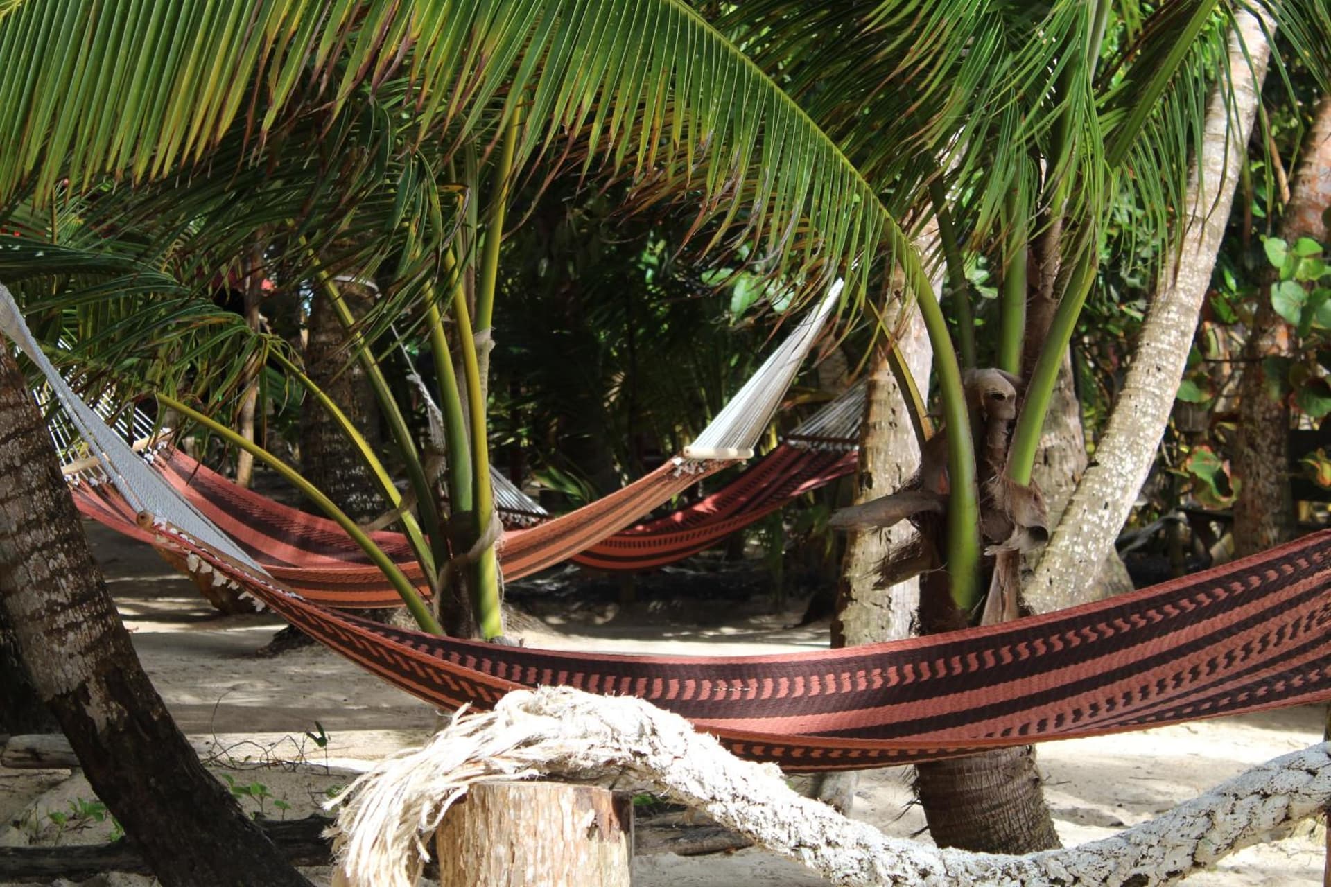 Little Corn Island Beach and Bungalow - Photo 39